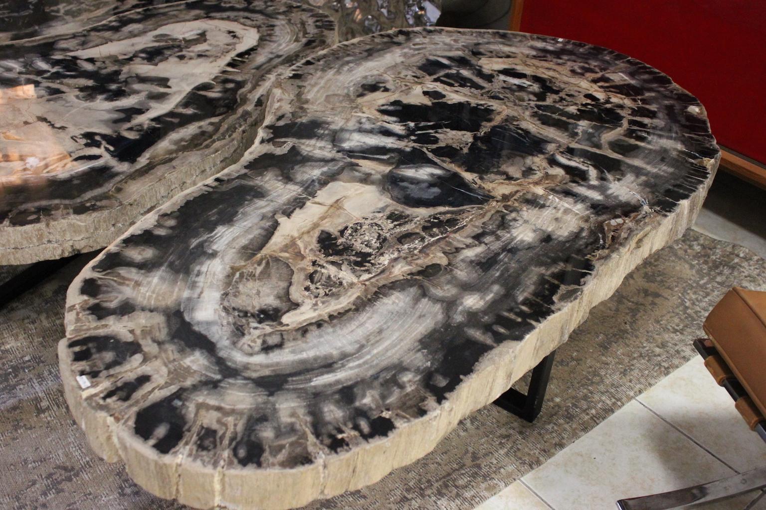 French Large Petrified Wood Coffee Table For Sale