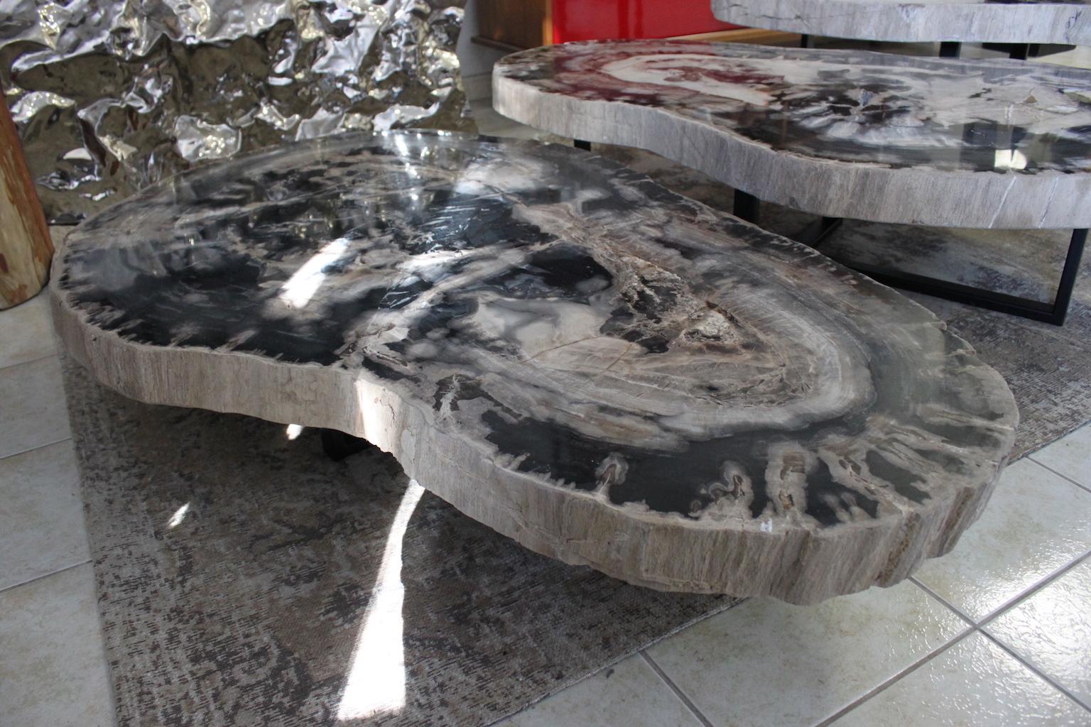 Polished Large Petrified Wood Coffee Table For Sale