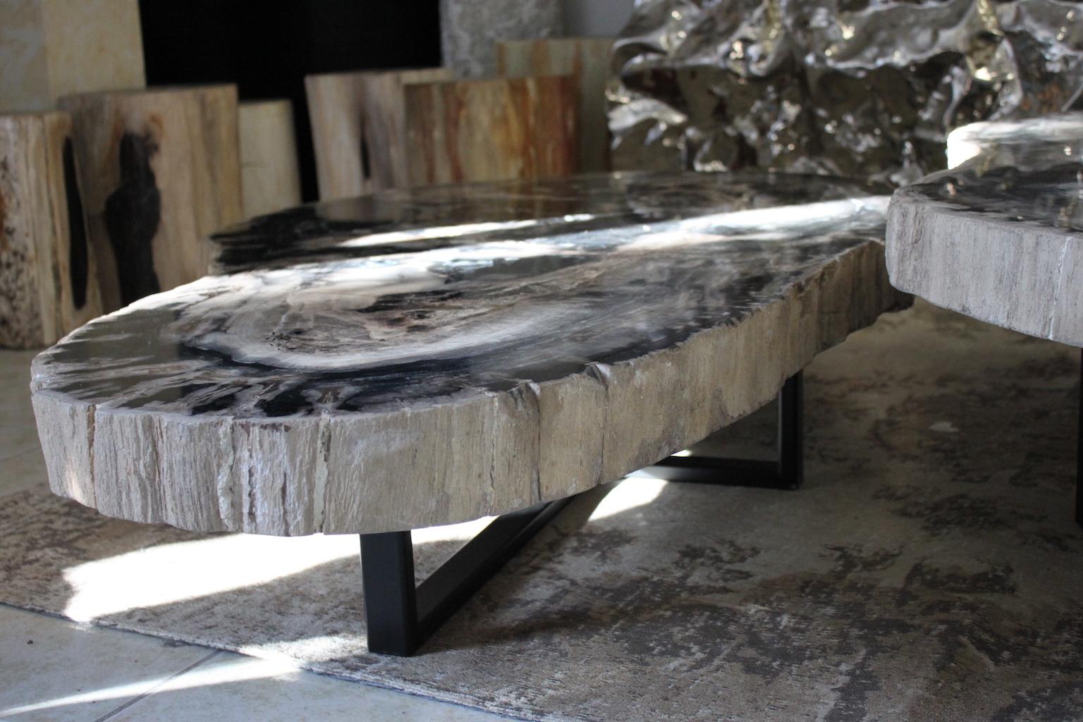 Large Petrified Wood Coffee Table In Good Condition For Sale In Marseille, FR