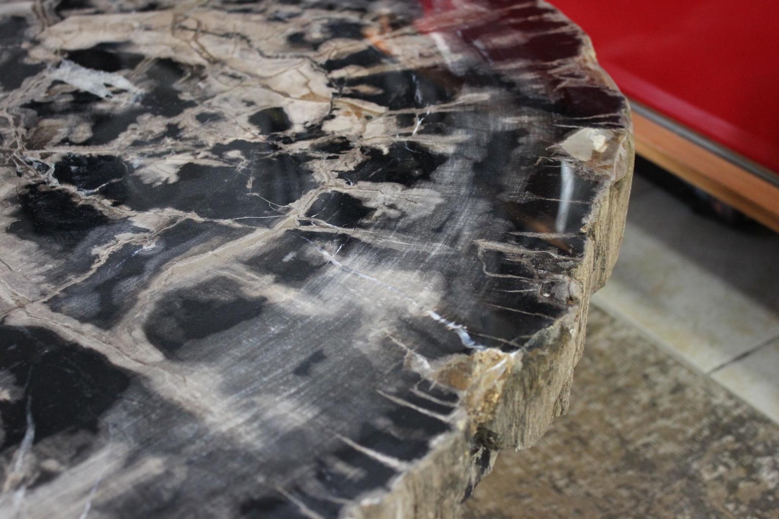 Large Petrified Wood Coffee Table For Sale 1