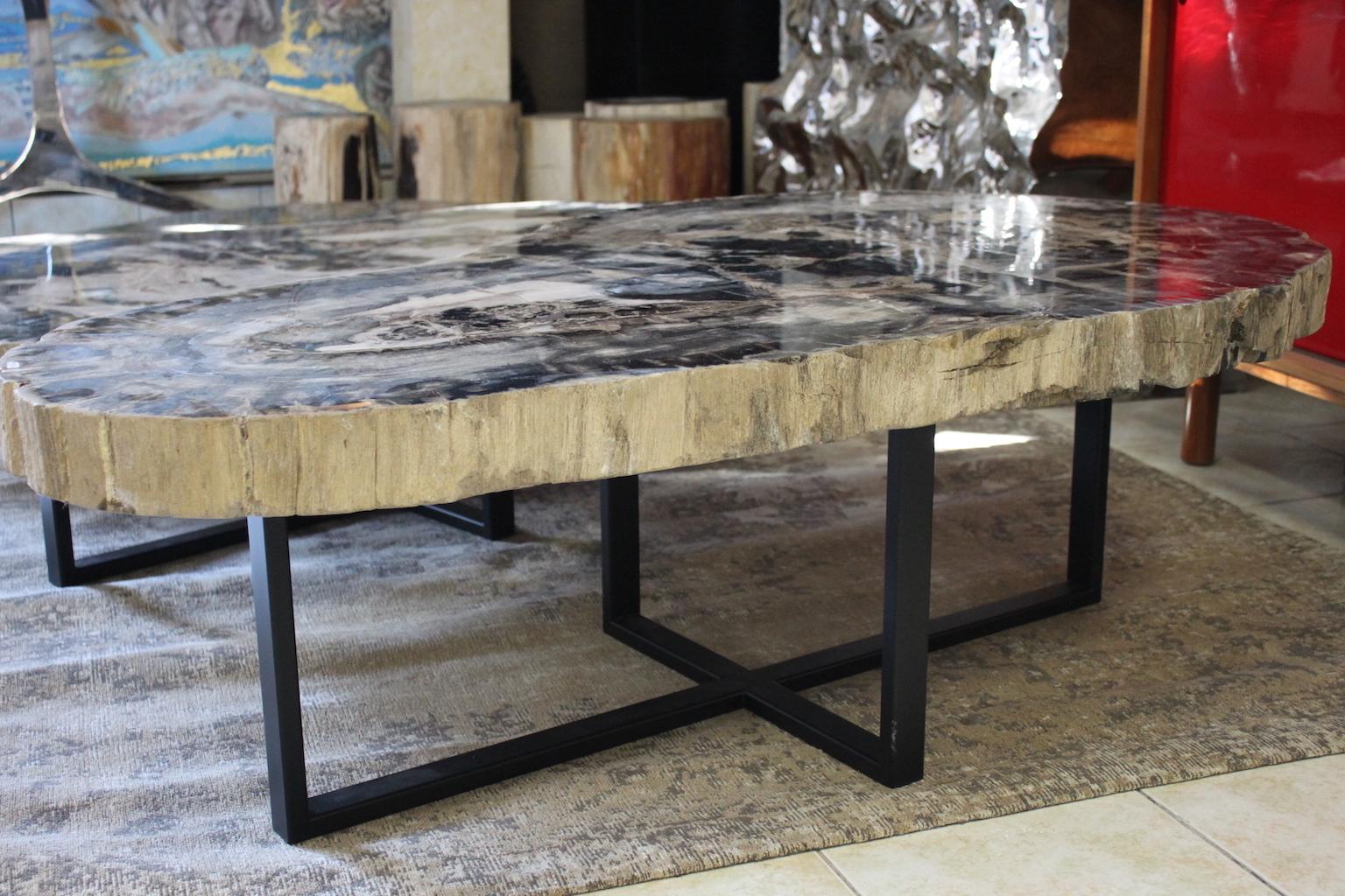 Large Petrified Wood Coffee Table For Sale 2