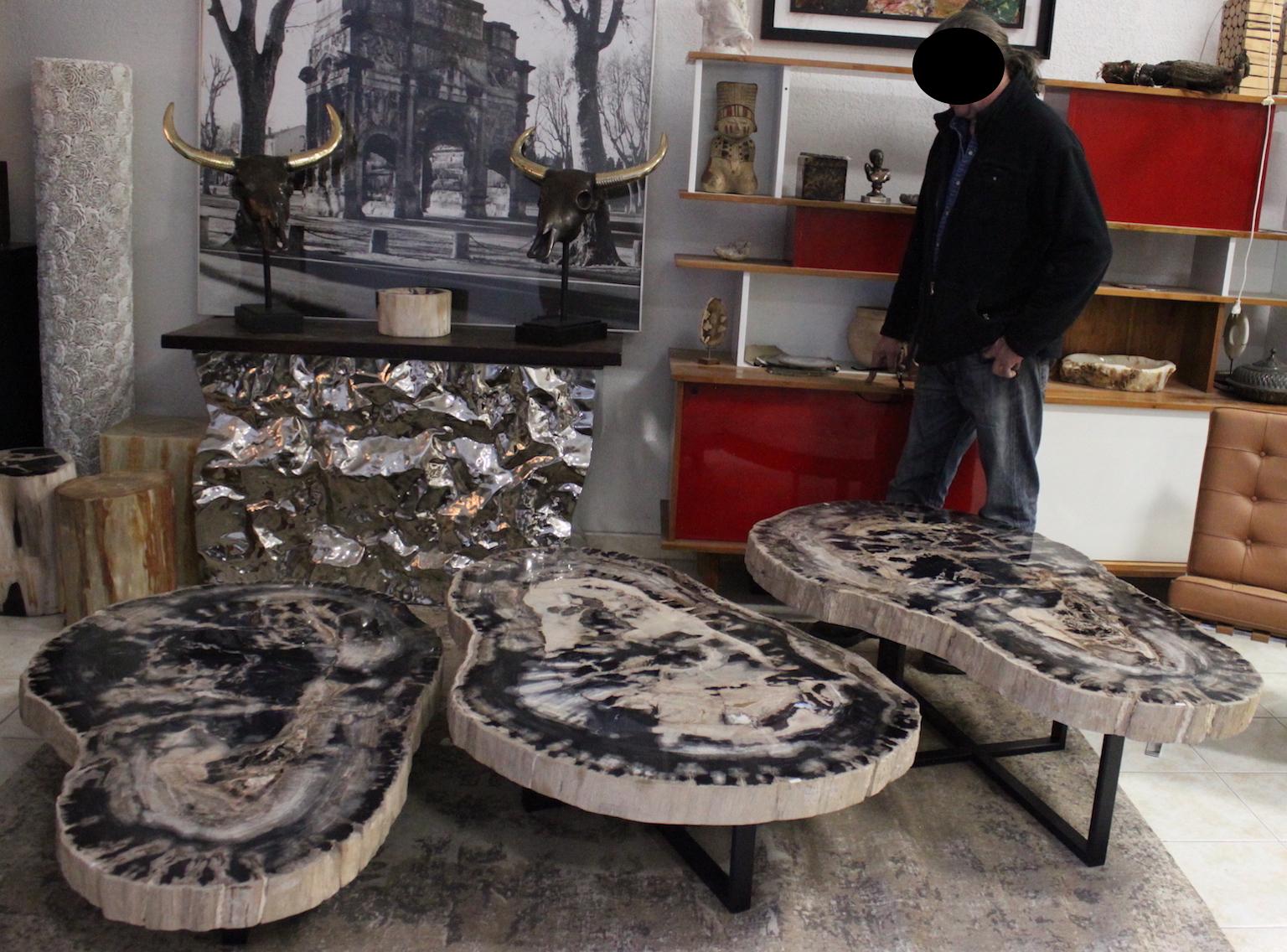 Large Petrified Wood Coffee Table For Sale 6