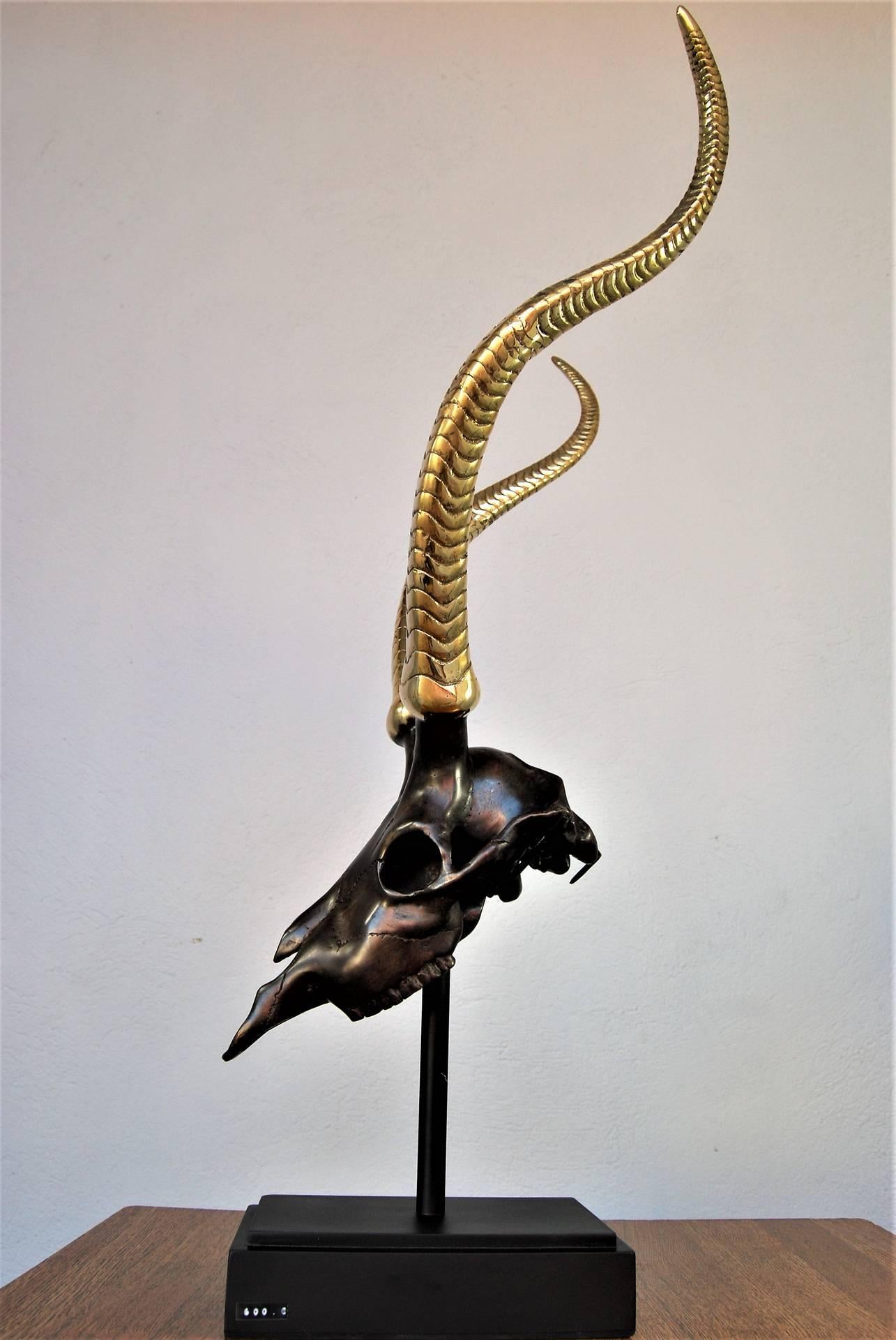 French Mid-Century Modern Patinated Bronze Antelope Scull Sculpture In Good Condition For Sale In Marseille, FR