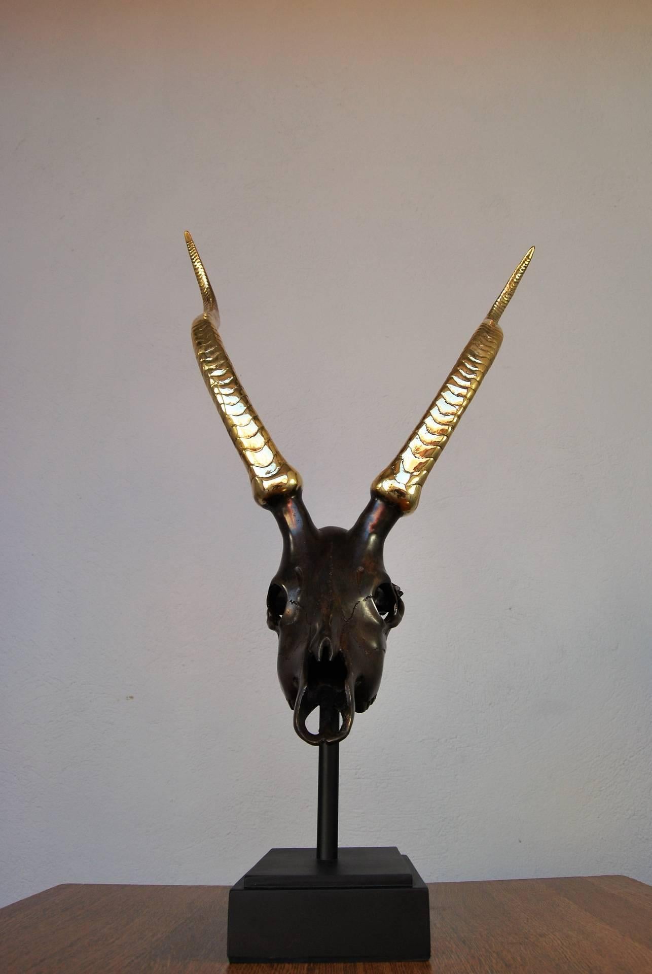 20th Century French Mid-Century Modern Patinated Bronze Antelope Scull Sculpture For Sale