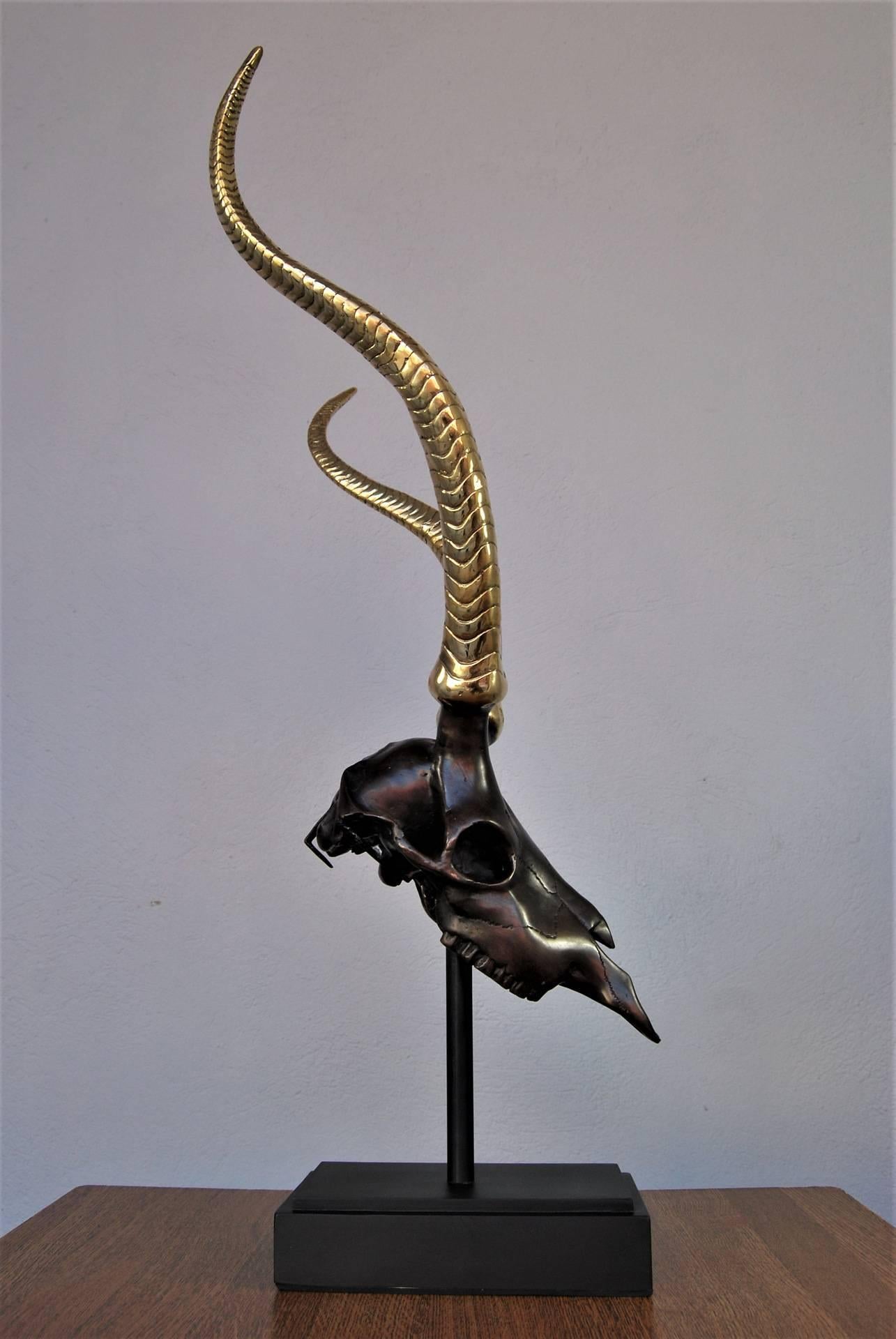 French Mid-Century Modern Patinated Bronze Antelope Scull Sculpture For Sale 1