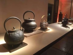 Tetsubin Iron Bronze Brown Kettle Japan Meiji Dragon Bas-Relief Signed