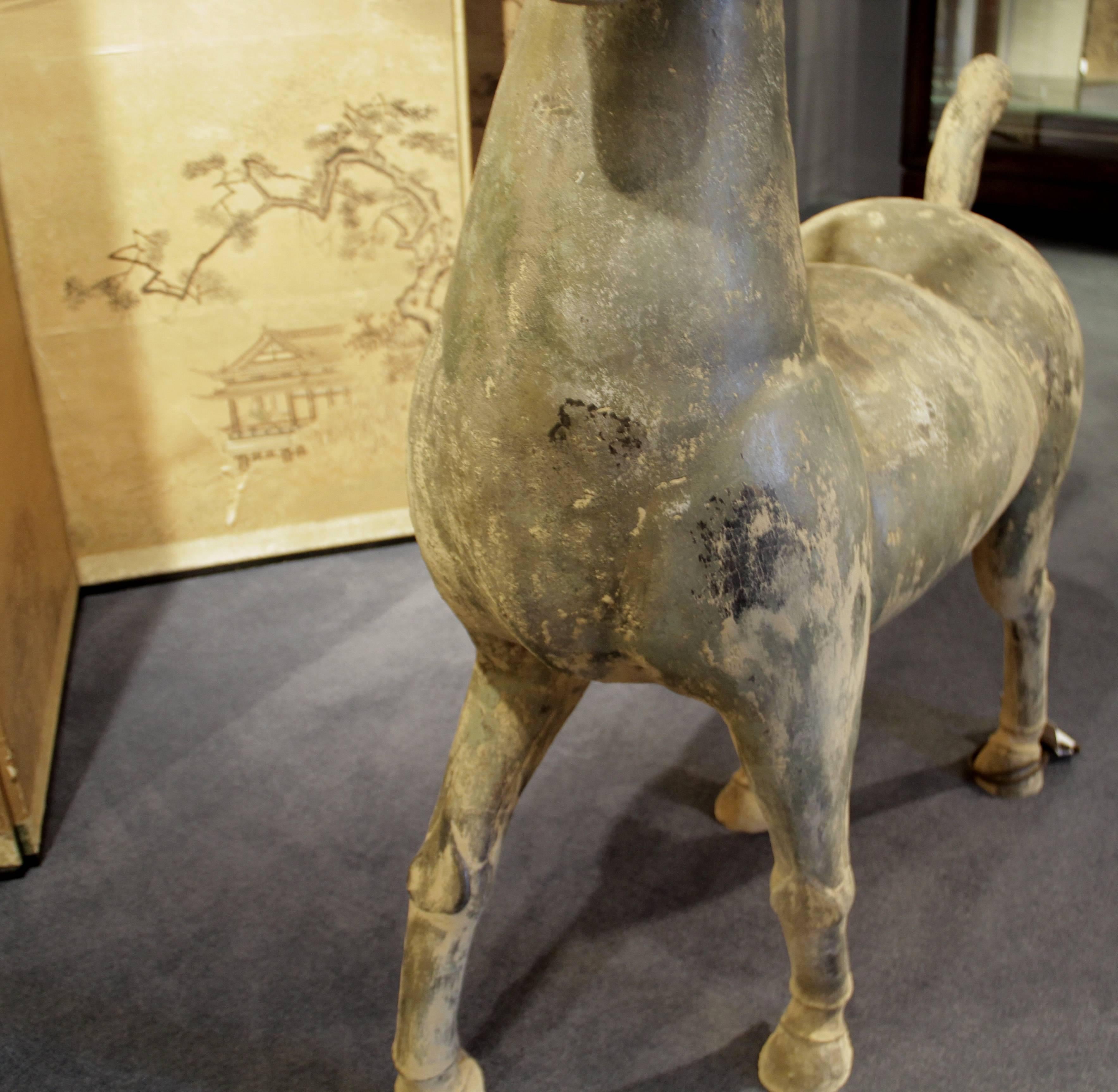 18th Century and Earlier Terra Cotta Tomb Carriage Horse, China, Han Dynasty 200 BC-AD 220 For Sale
