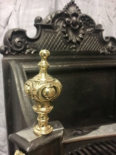 Antique 19th Century Rococo Style Steel and Brass Fire Basket Grate