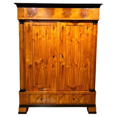 Antique Large Biedermeier Armoire, Cherry Wood, South Germany circa 1820