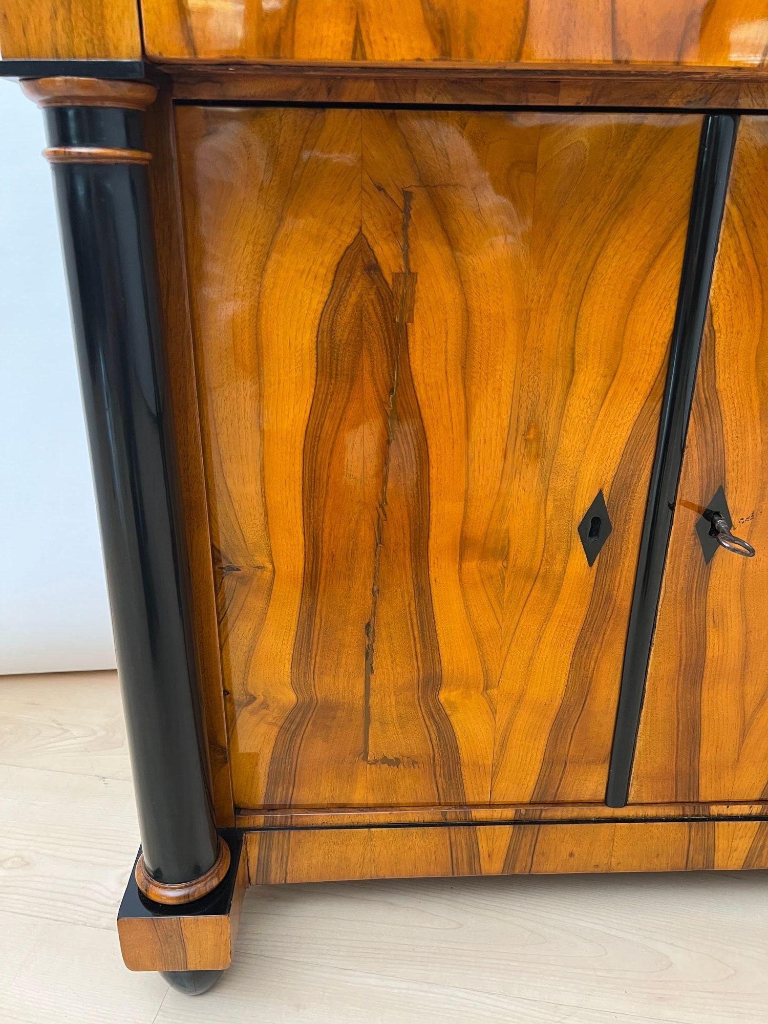 Biedermeier Half-Cabinet, Walnut Veneer, Ebonized, South Germany circa 1825 For Sale 6
