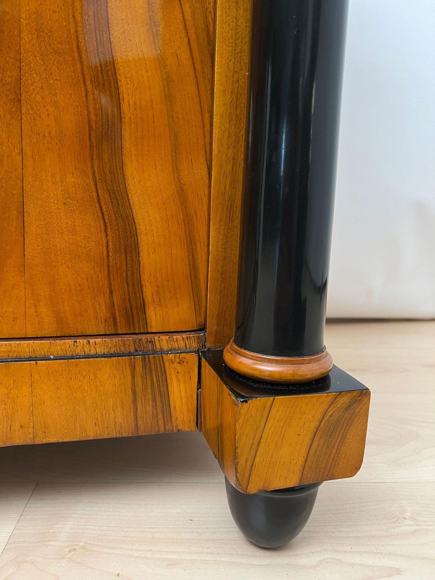 Biedermeier Half-Cabinet, Walnut Veneer, Ebonized, South Germany circa 1825 For Sale 7
