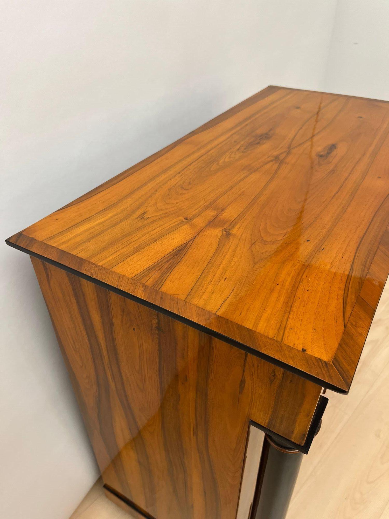 Biedermeier Half-Cabinet, Walnut Veneer, Ebonized, South Germany circa 1825 For Sale 8