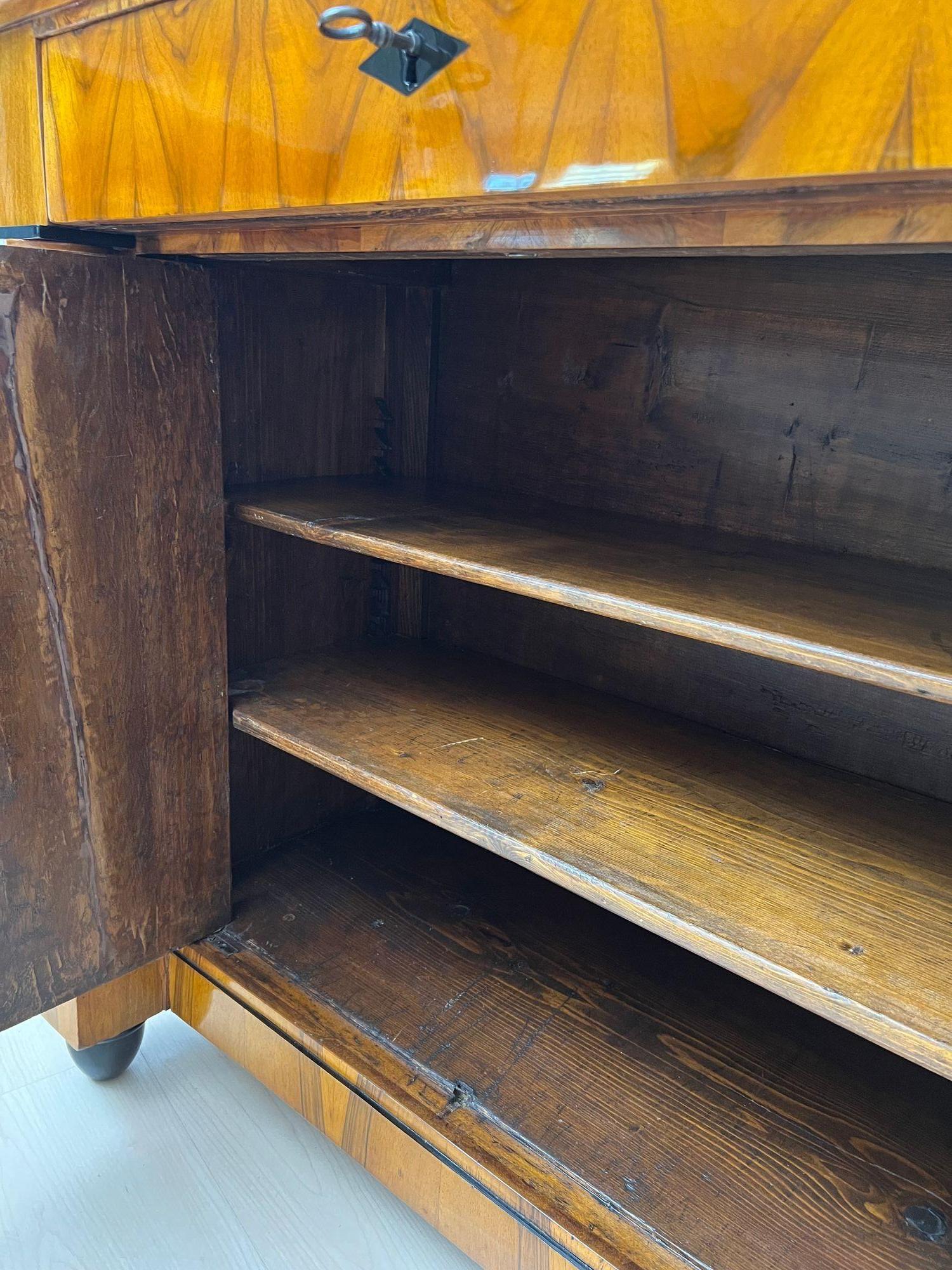 Biedermeier Half-Cabinet, Walnut Veneer, Ebonized, South Germany circa 1825 For Sale 3