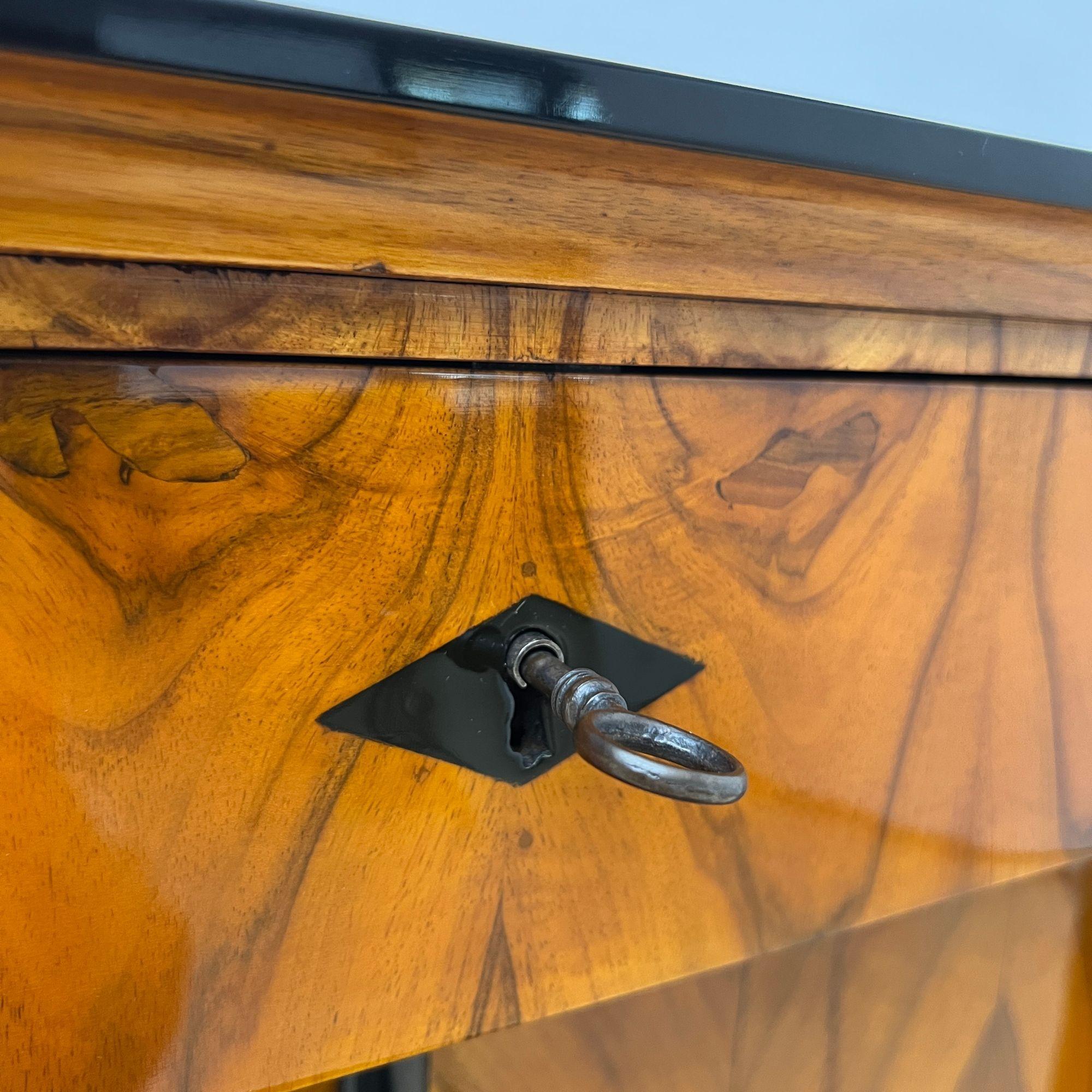 Biedermeier Half-Cabinet, Walnut Veneer, Ebonized, South Germany circa 1825 For Sale 11