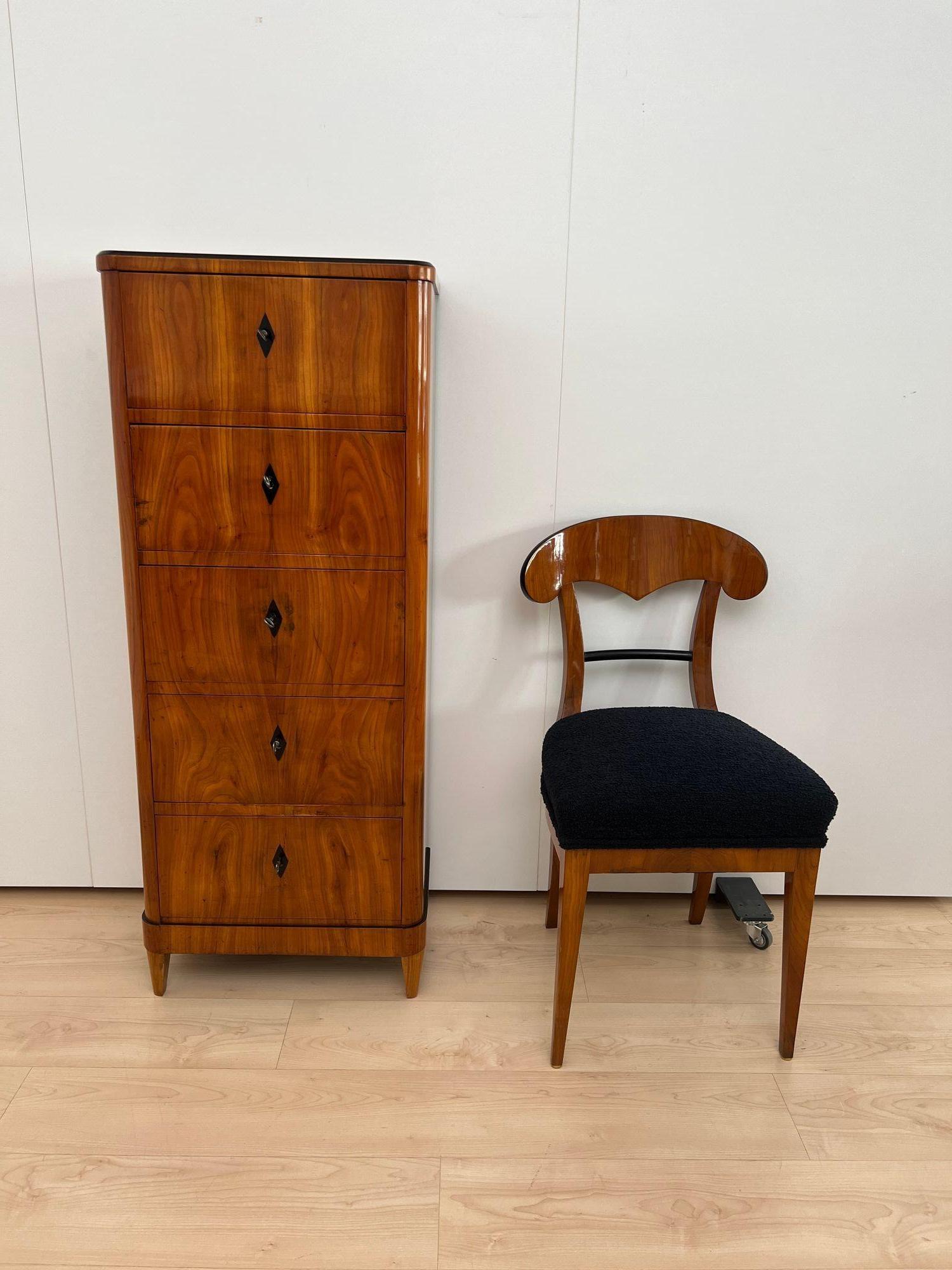 Five Drawer Biedermeier Chiffonier, Cherry Veneer, South Germany circa 1820 For Sale 10