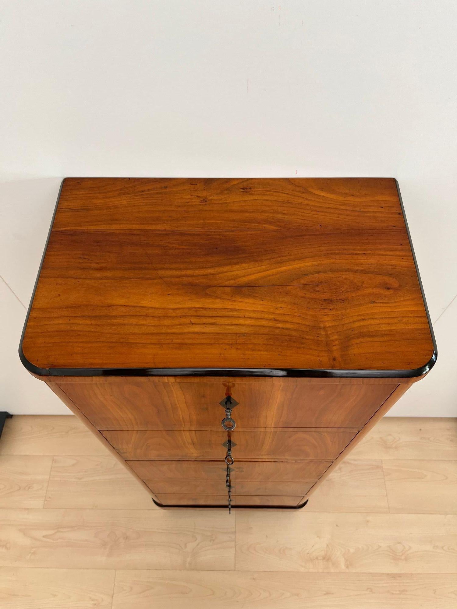 Five Drawer Biedermeier Chiffonier, Cherry Veneer, South Germany circa 1820 For Sale 2