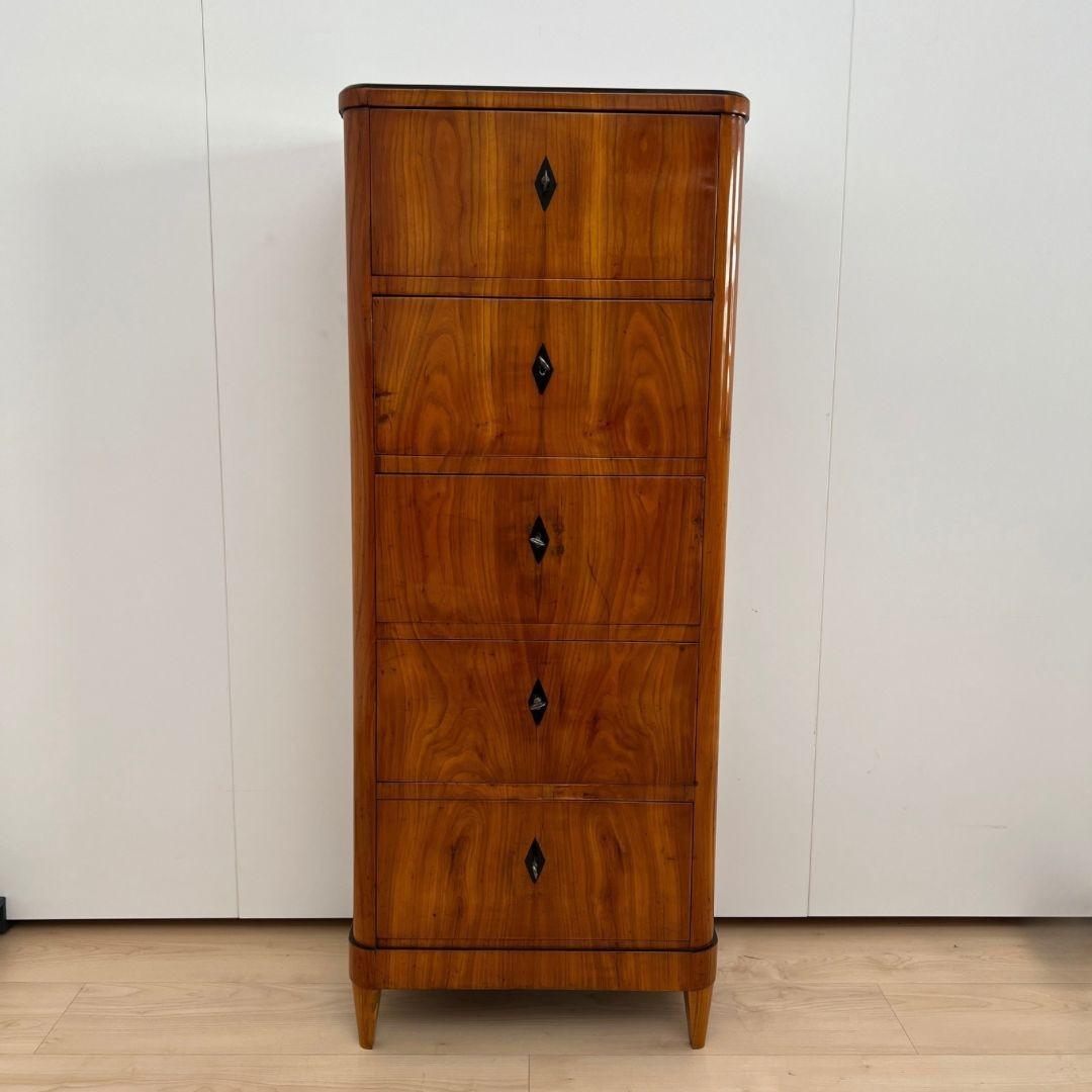 Five Drawer Biedermeier Chiffonier, Cherry Veneer, South Germany circa 1820 For Sale 11