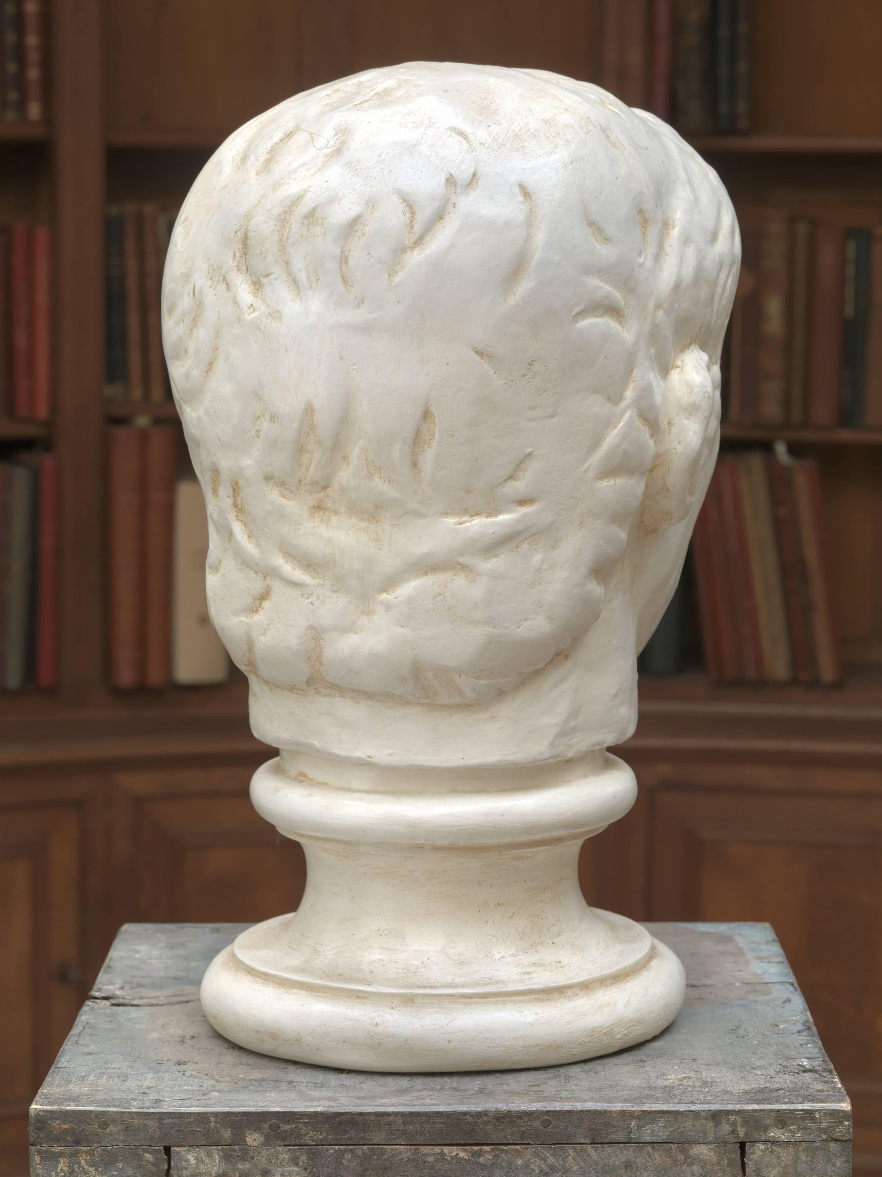 Belgian Plaster Model of Roman Head on Classic Base, 20th Century