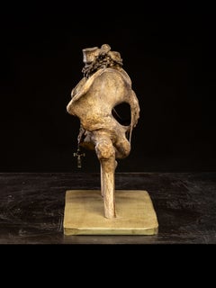 Anatomical model of human pelvis