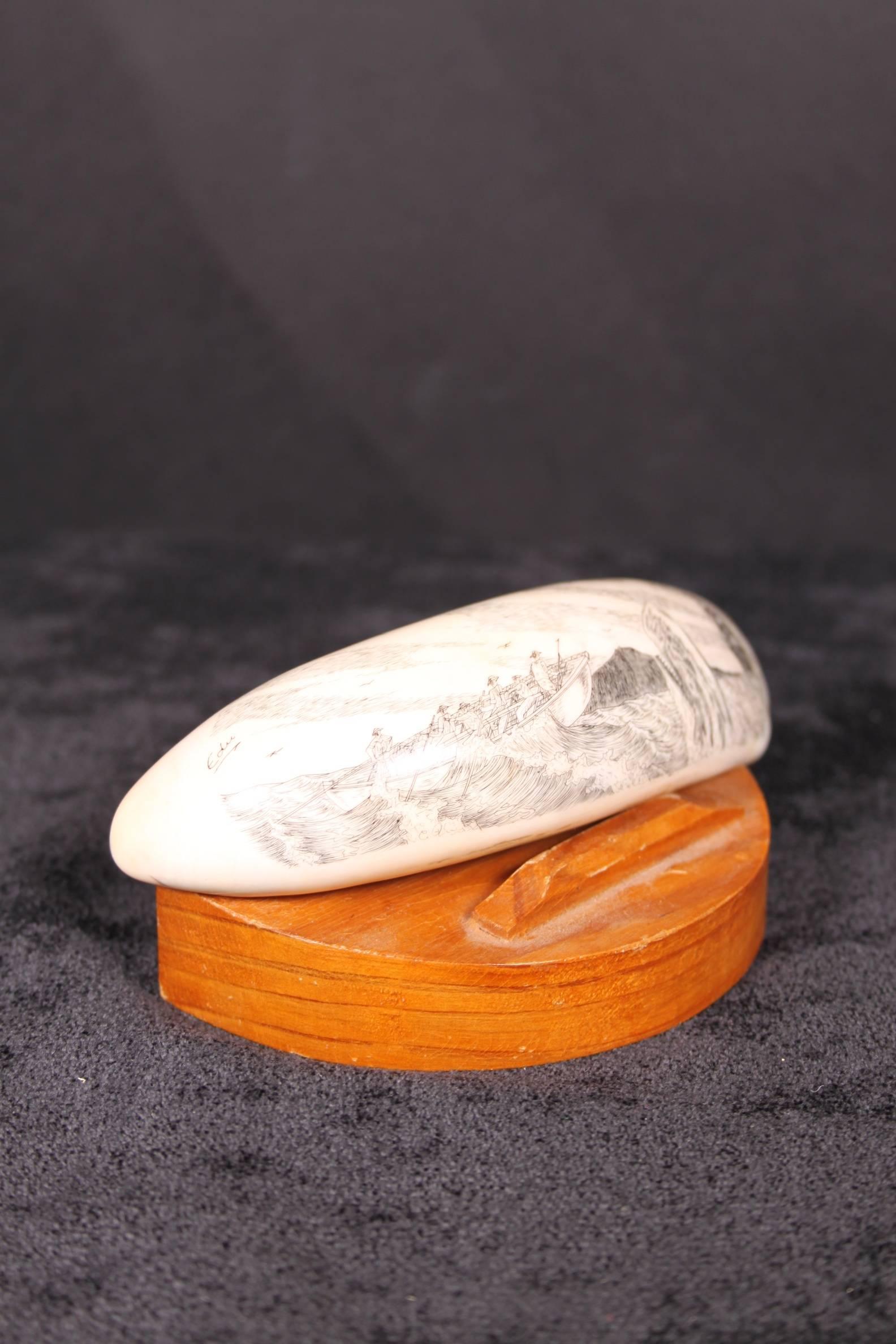 Whale Tooth Scrimshaw Carving 19th Century Azores Islands Signed 3