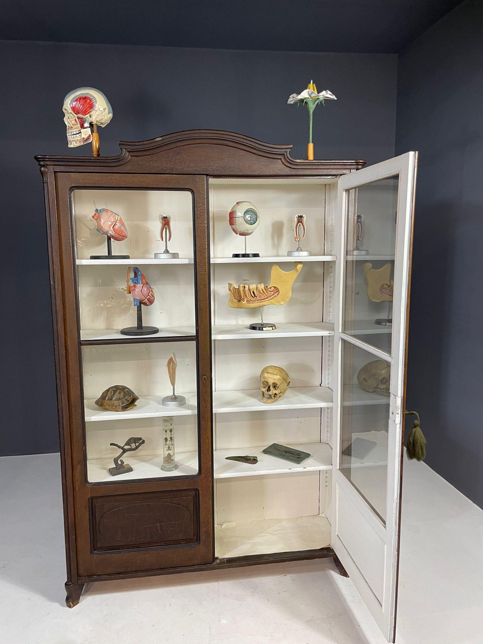 This elegant glass-front bookcase was made in the former Austria-Hungary at the turn of the 19th and 20th centuries. Known as a “folk” or school bookcase, it was typically used in rural schools or homes for storing books and teaching materials.

The