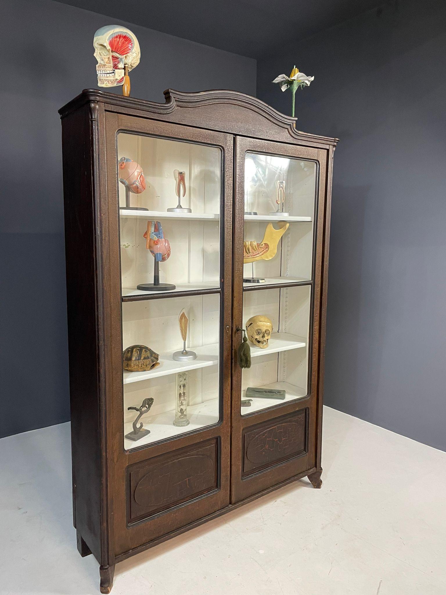 20th Century Historic Glass-Front Bookcase from Austria-Hungary, Late 19th–Early 20th C. For Sale