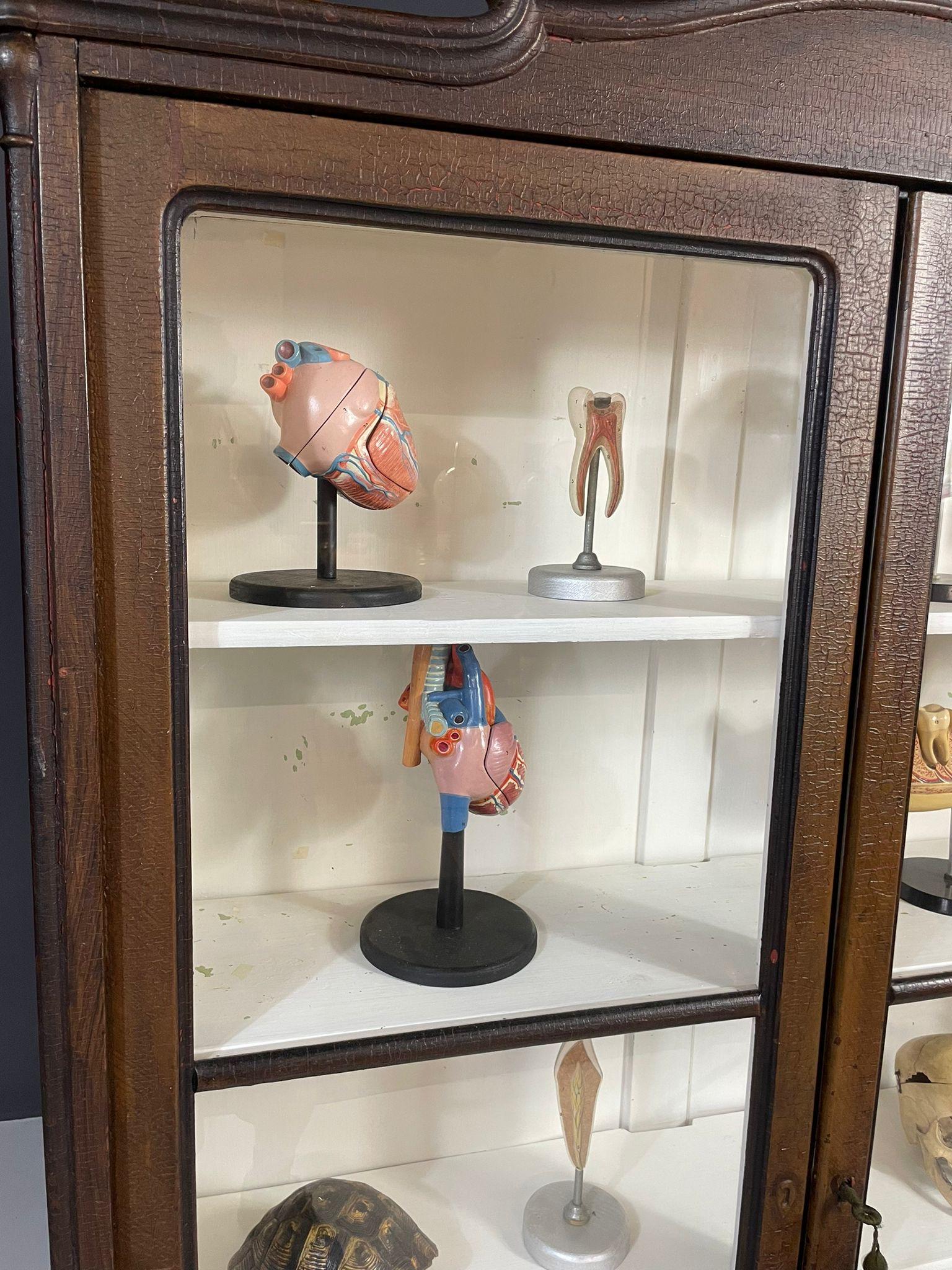 Historic Glass-Front Bookcase from Austria-Hungary, Late 19th–Early 20th C. For Sale 4