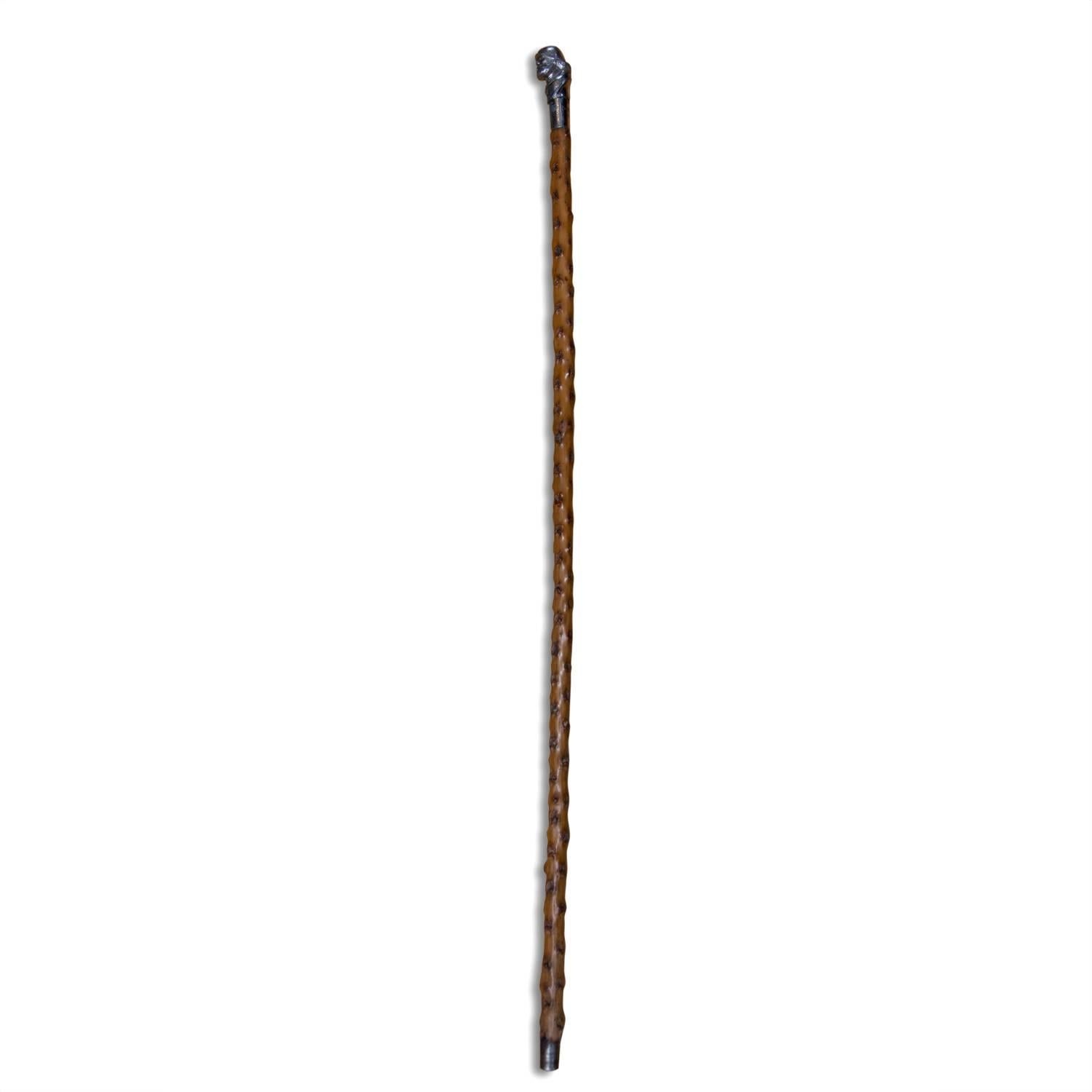 Chrome Rare 19th Century Czech Walking Stick, circa 1890