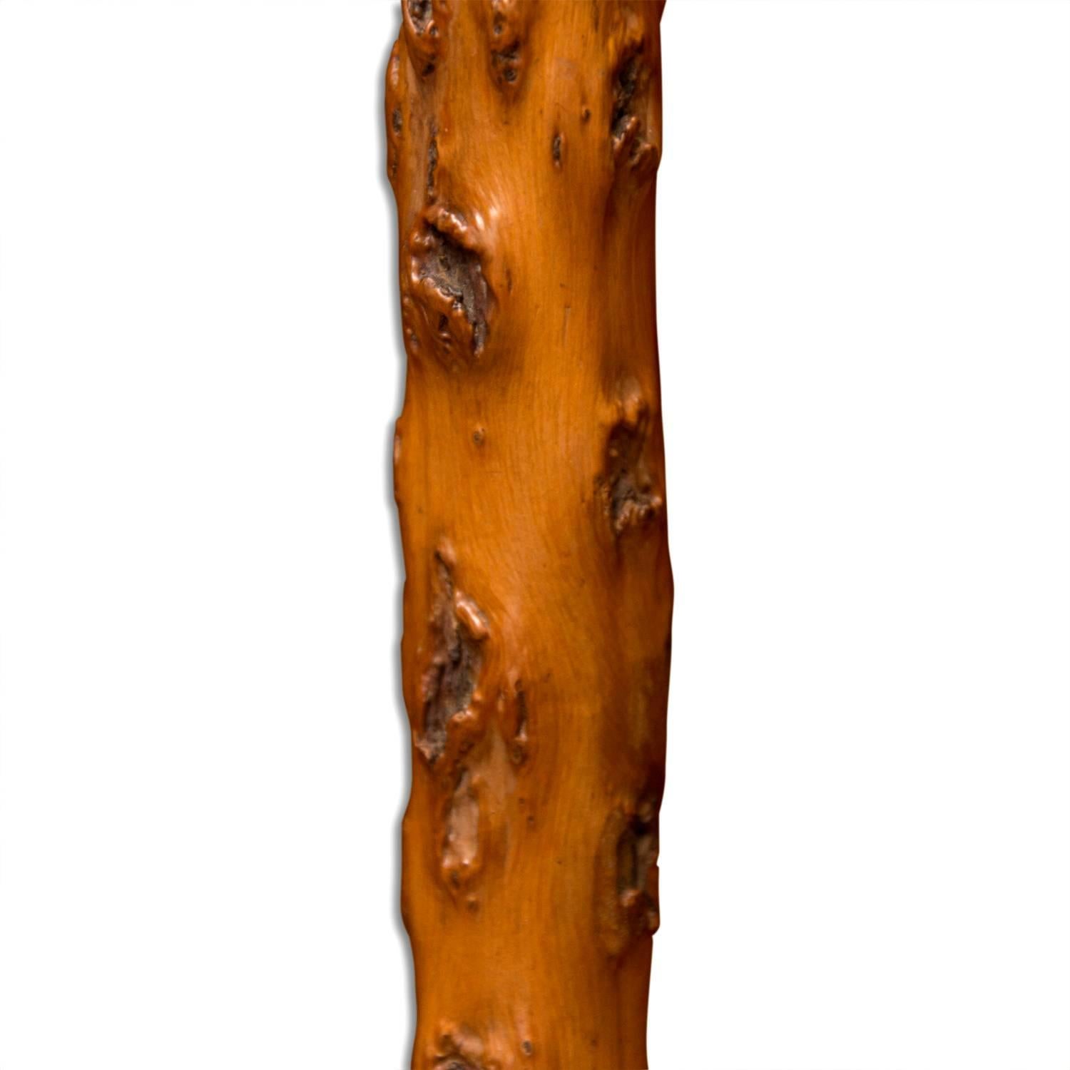 Rare 19th Century Czech Walking Stick, circa 1890 In Good Condition In Prague 8, CZ