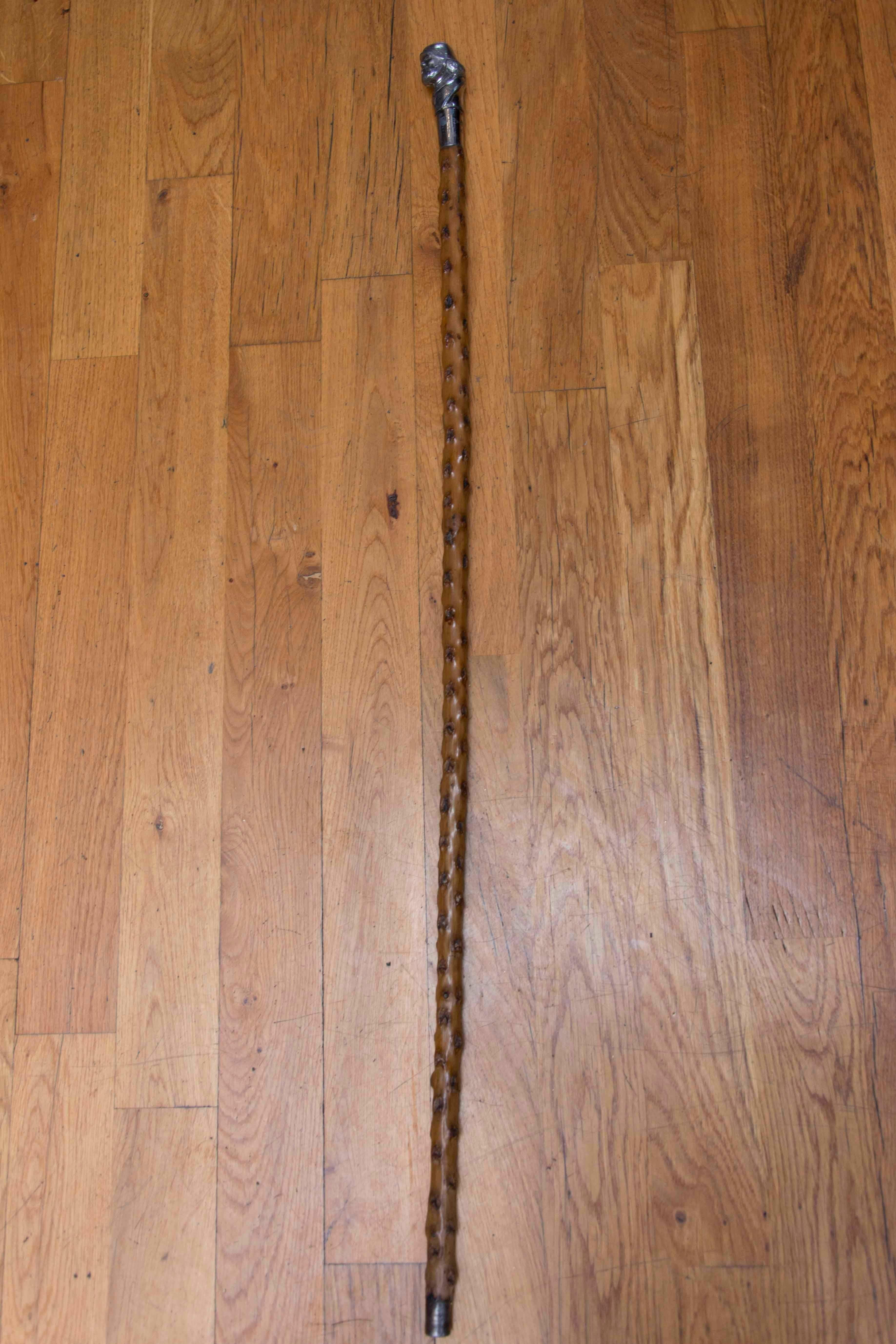 Rare 19th Century Czech Walking Stick, circa 1890 1