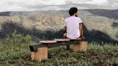 Bench Viga on Tropical Brazilian Hardwood