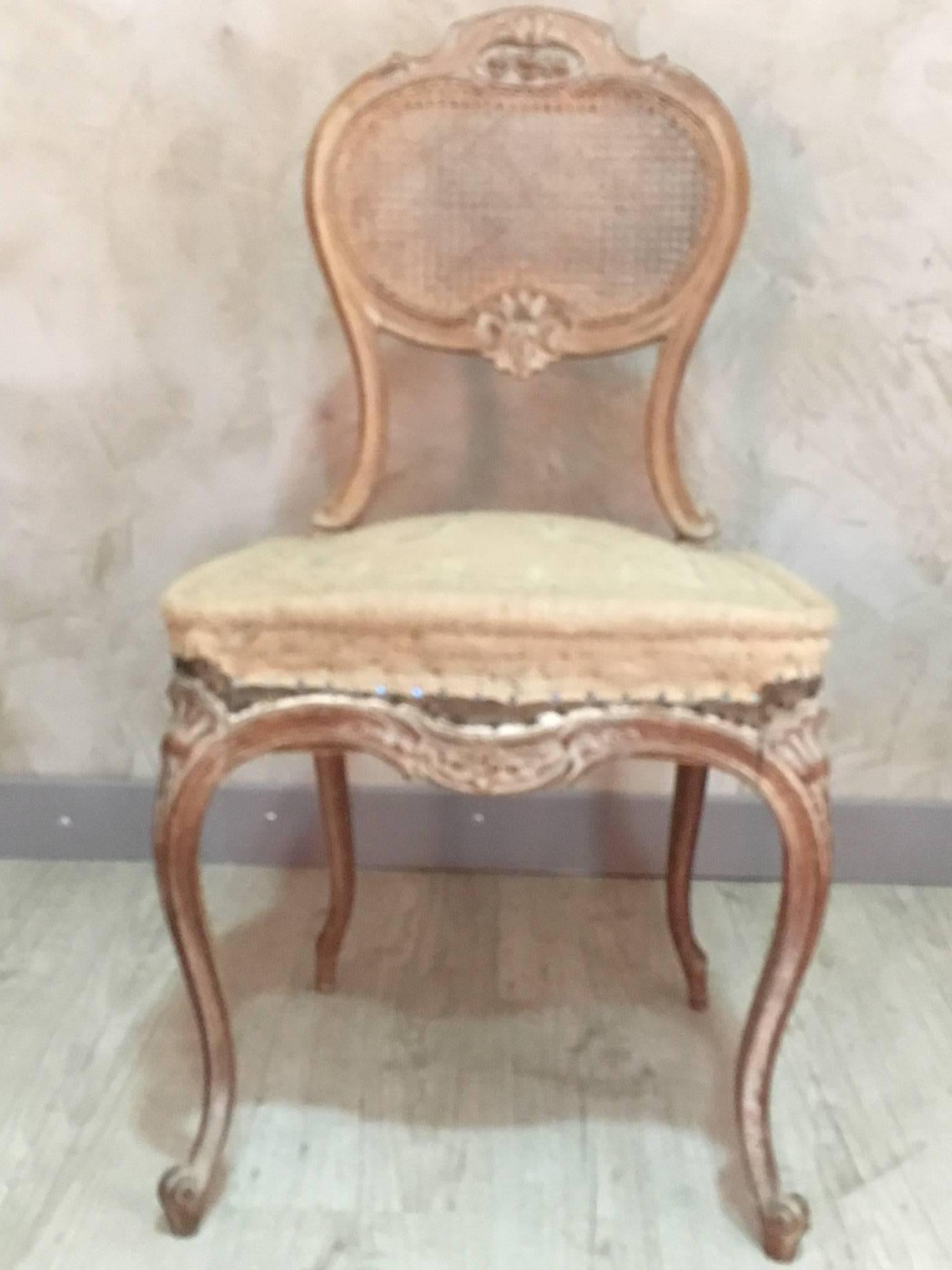 Louis XV Style Cane Chair Entirely Restored in the Traditional Way, 1900s 2