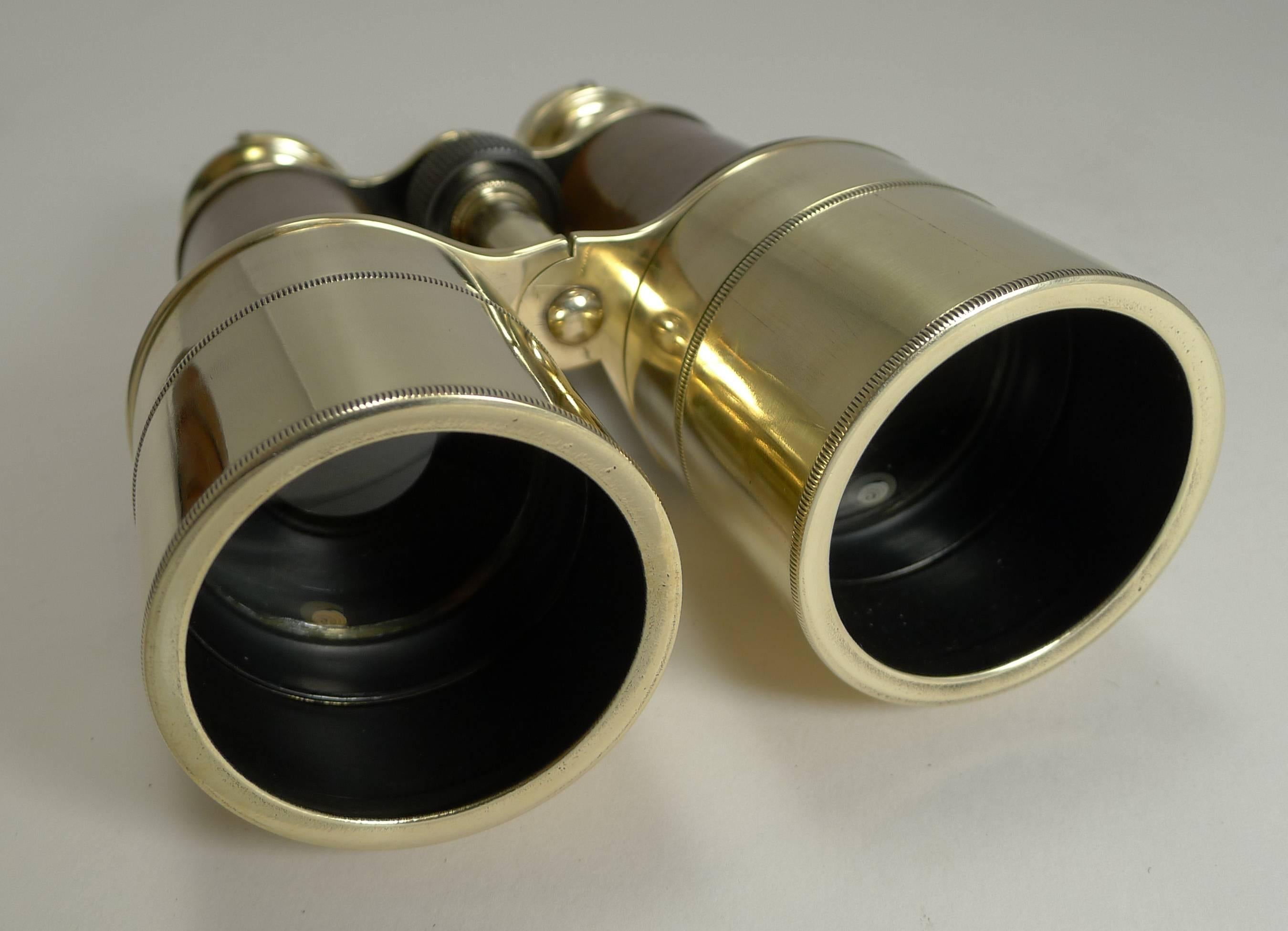 Pair of WWI Binoculars and Case, British Officer's Issue, 1918, Signed 3