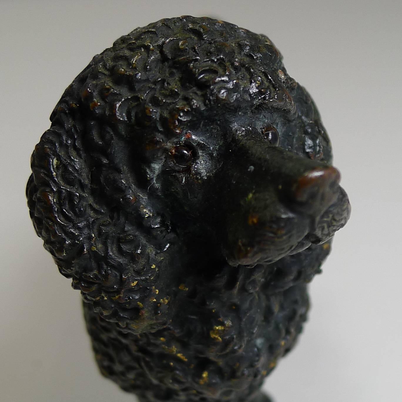 Austrian Antique Cold Painted Bronze Pen Nib Wipe, circa 1890, Dog, Poodle