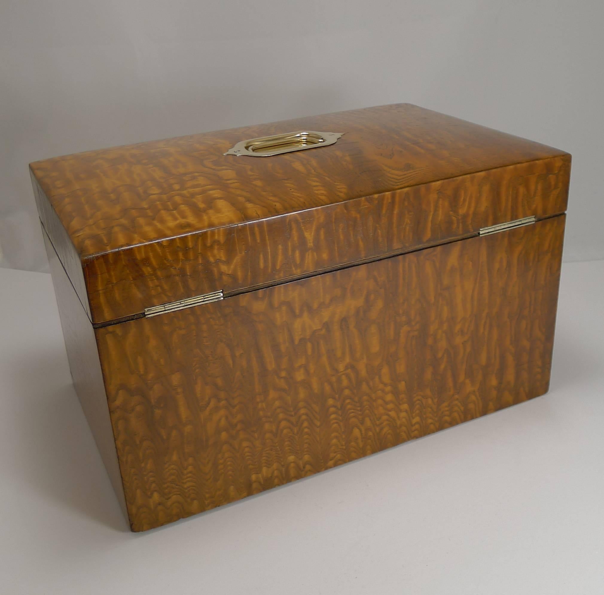 Grand Large Antique English Burr Ash Jewelry Box c.1890 In Excellent Condition In Bath, GB