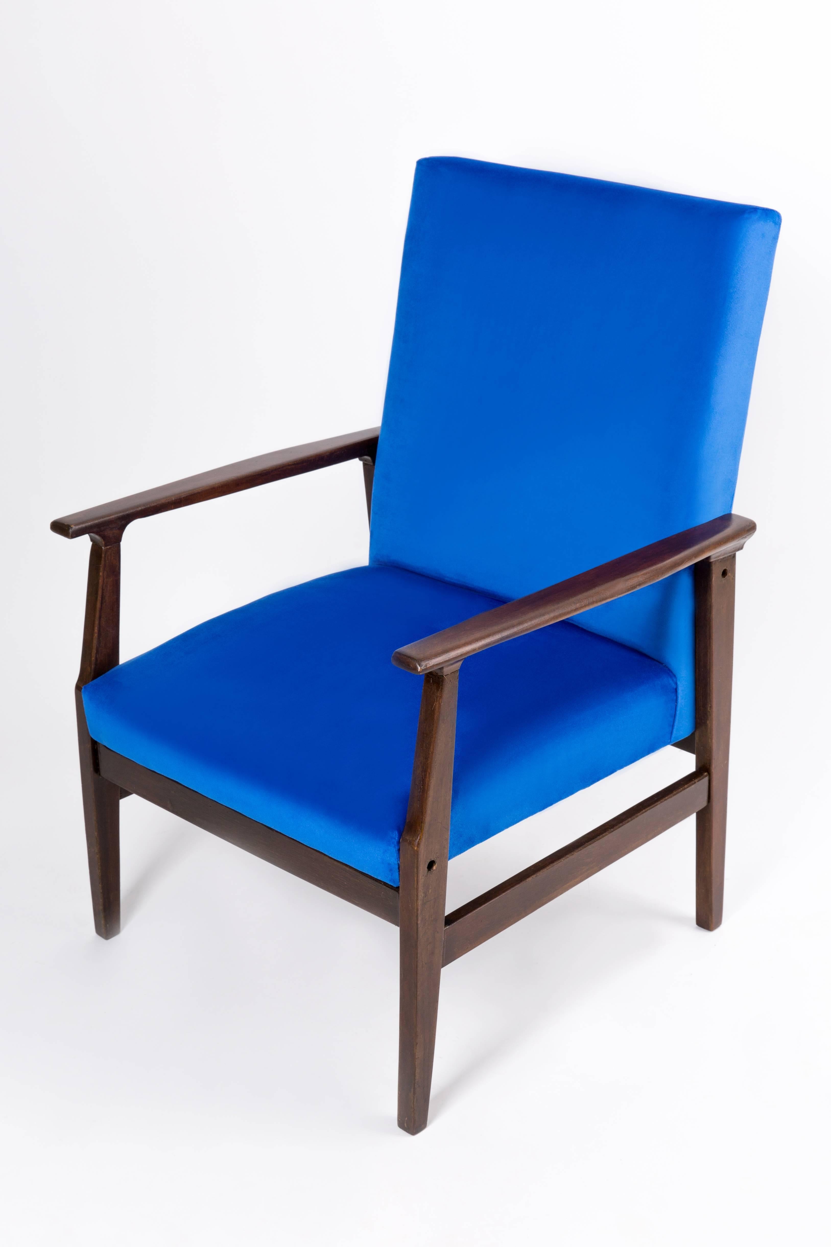 Fauteuil vintage bleu royal, type B-14, années 1960 Excellent état - En vente à 05-080 Hornowek, PL