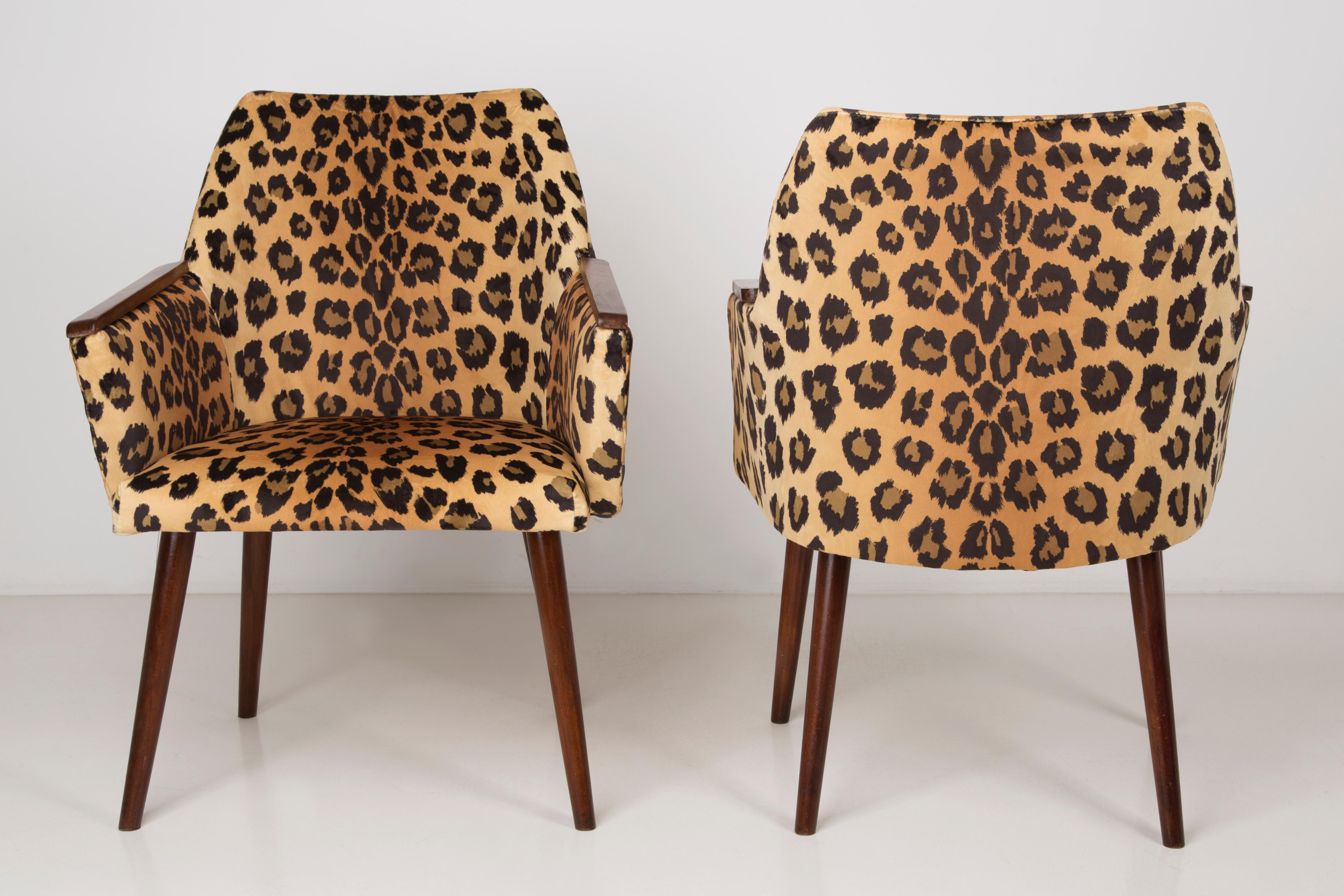 Hand-Crafted Set of Two Mid-Century Modern Leopard Print Chairs, 1960s, Germany