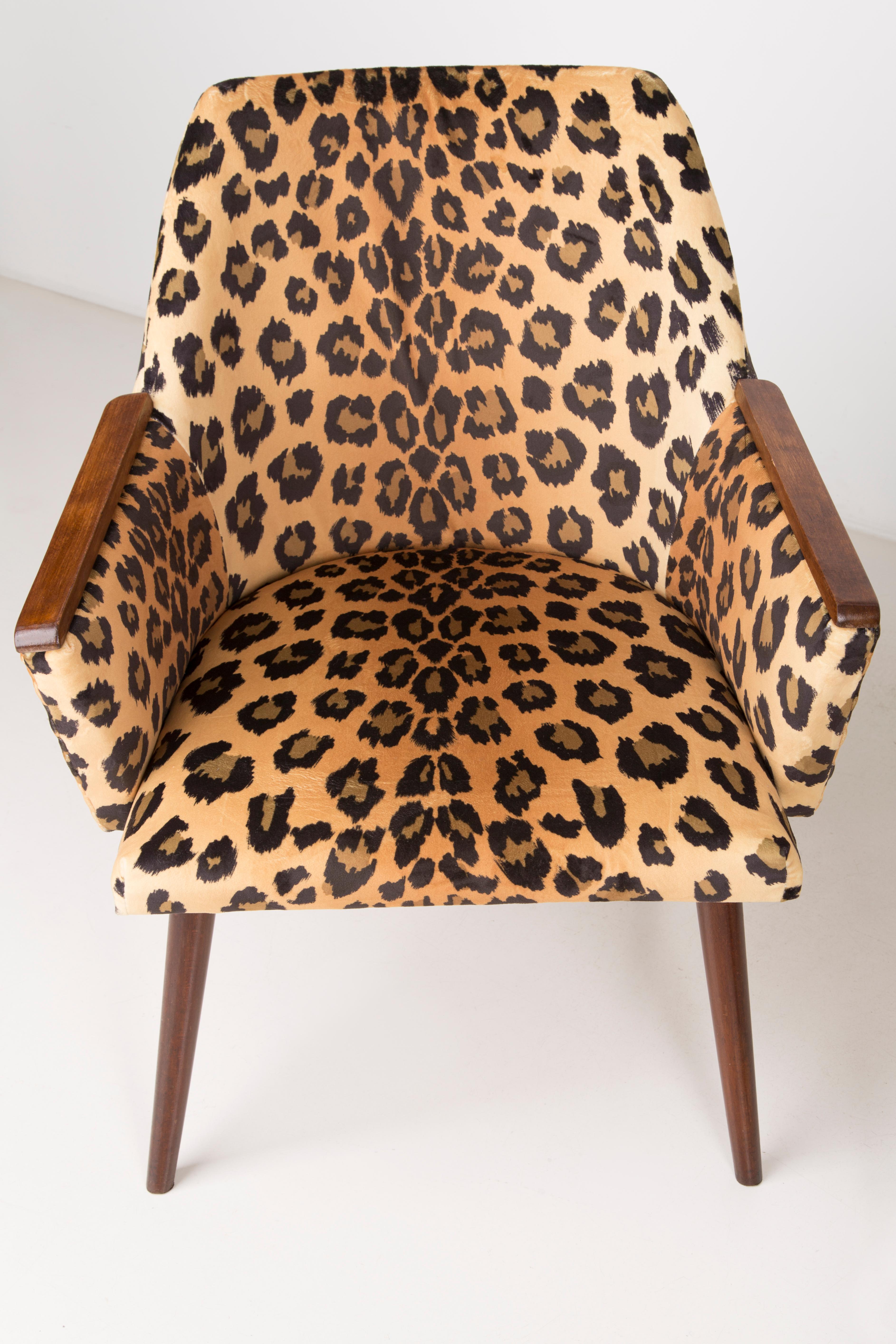 20th Century Set of Two Mid-Century Modern Leopard Print Chairs, 1960s, Germany