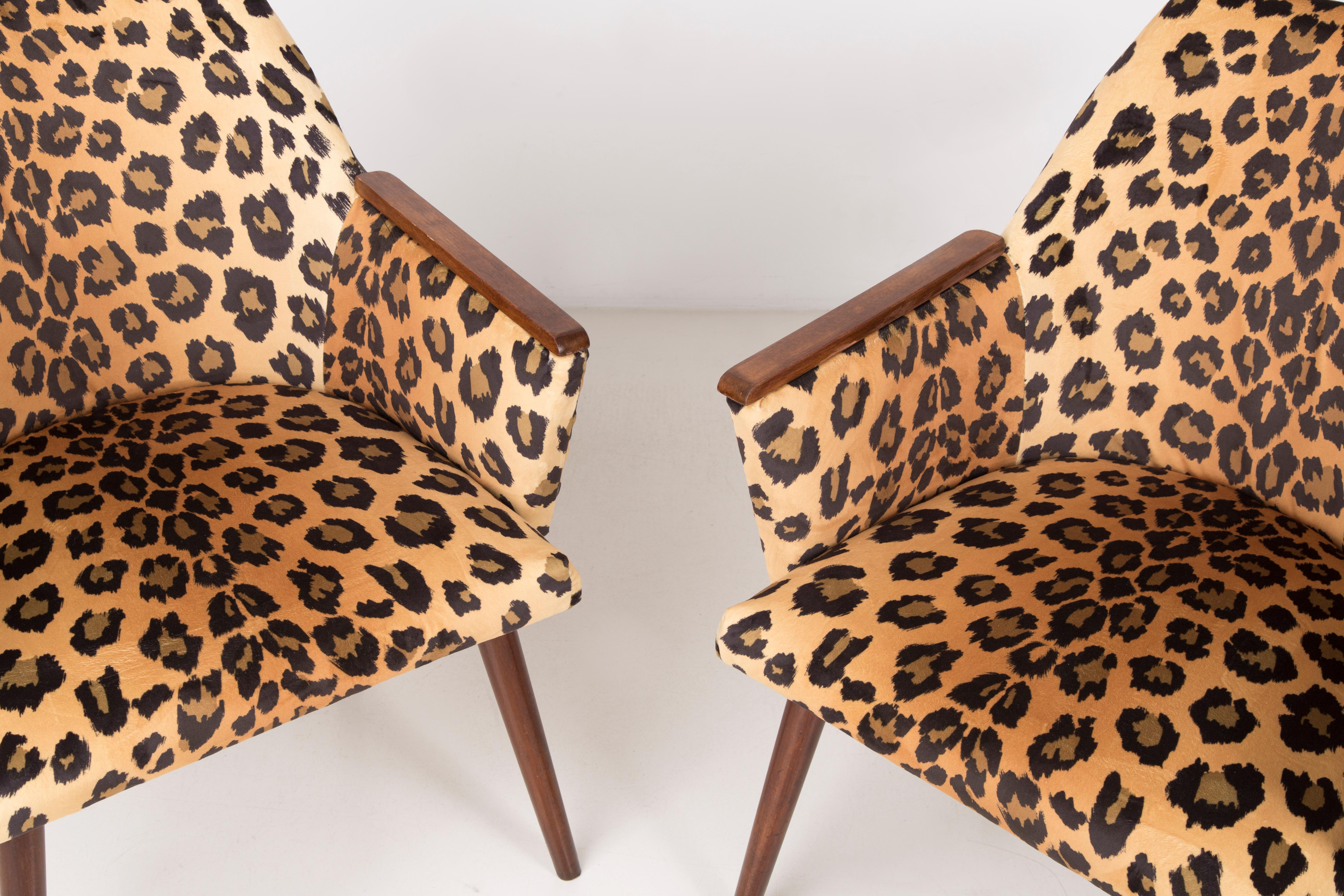 Velvet Set of Two Mid-Century Modern Leopard Print Chairs, 1960s, Germany
