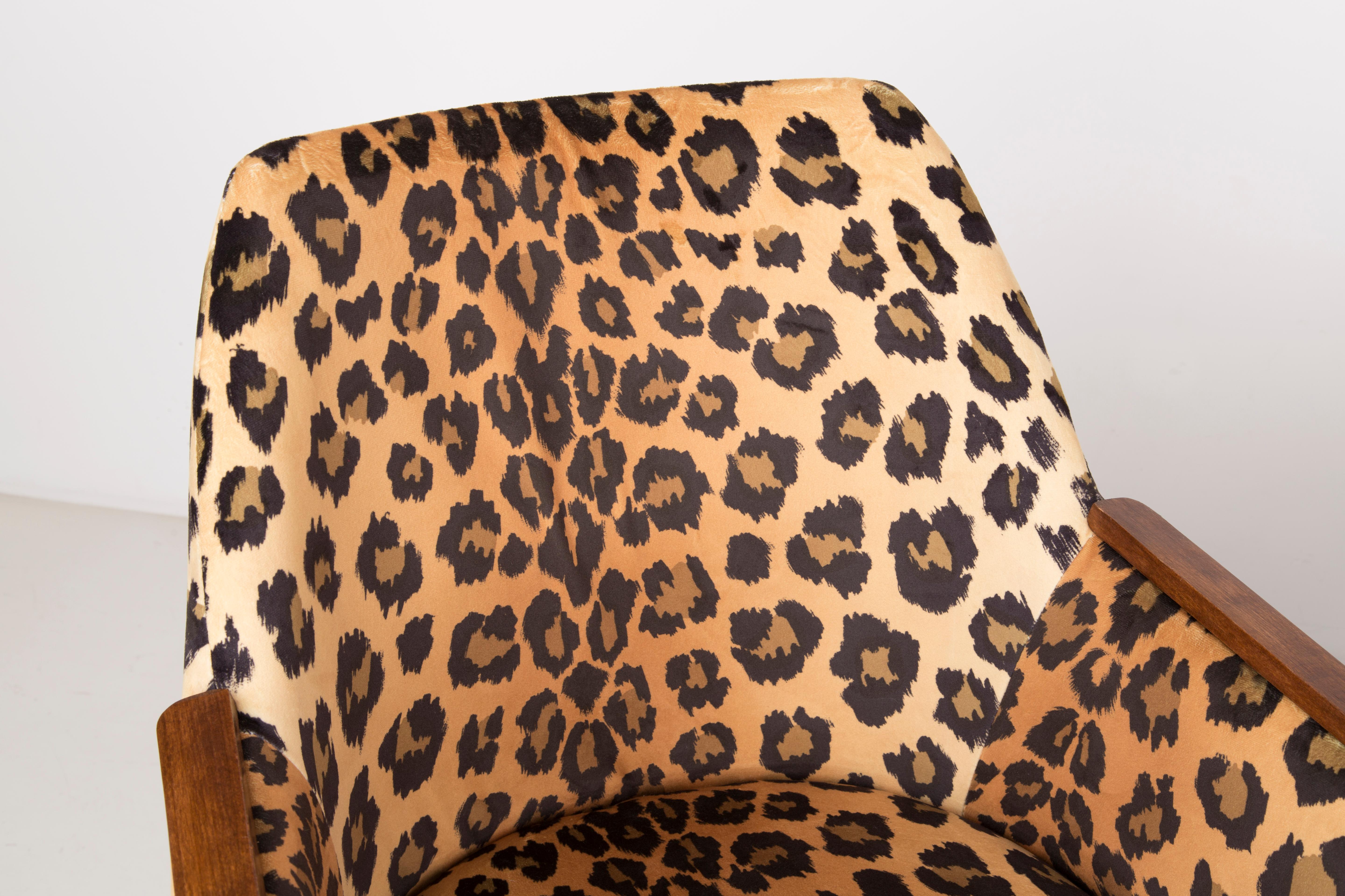 Set of Two Mid-Century Modern Leopard Print Chairs, 1960s, Germany 2