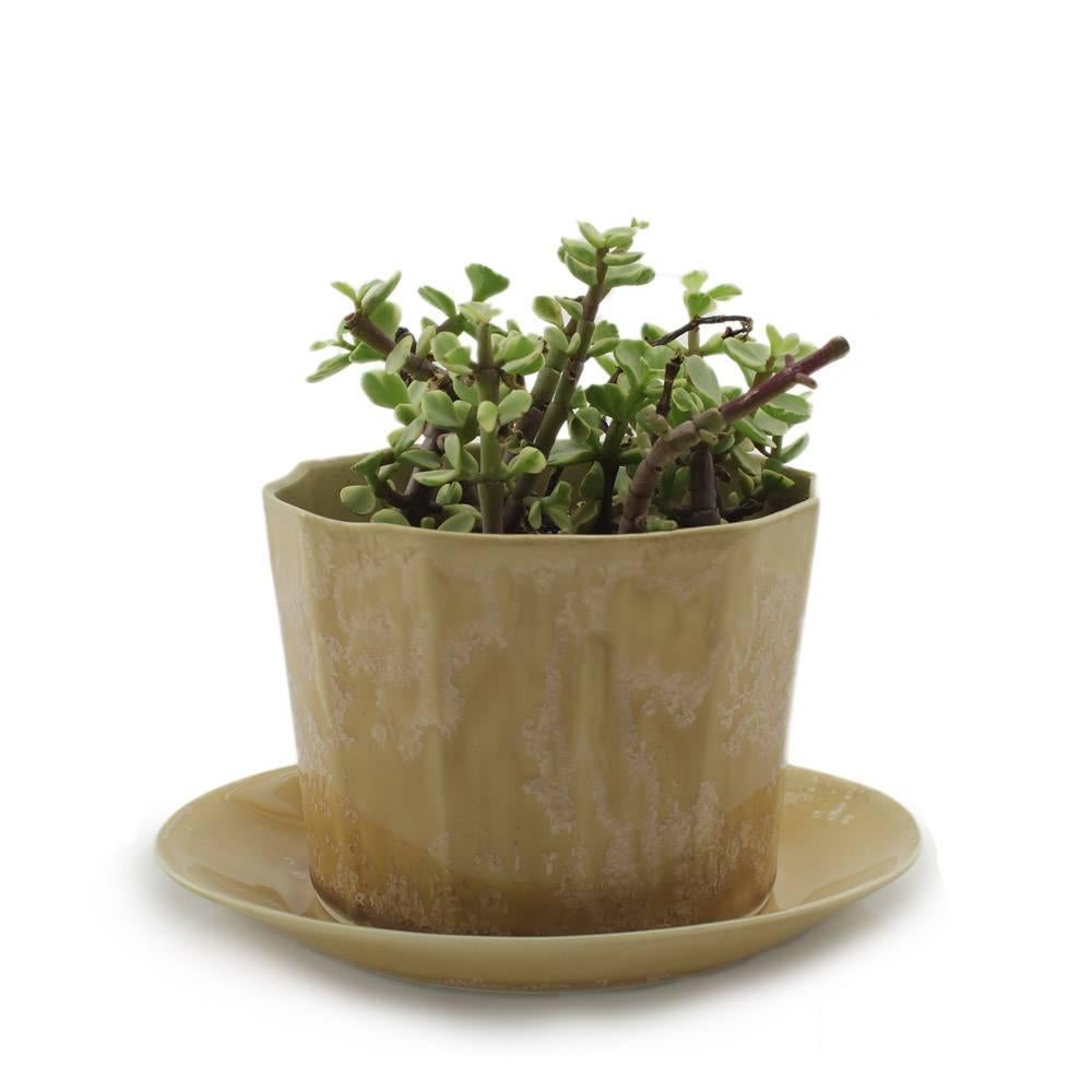 Native Planter White Crystal Planter Modern Contemporary Glazed Porcelain (Porzellan) im Angebot