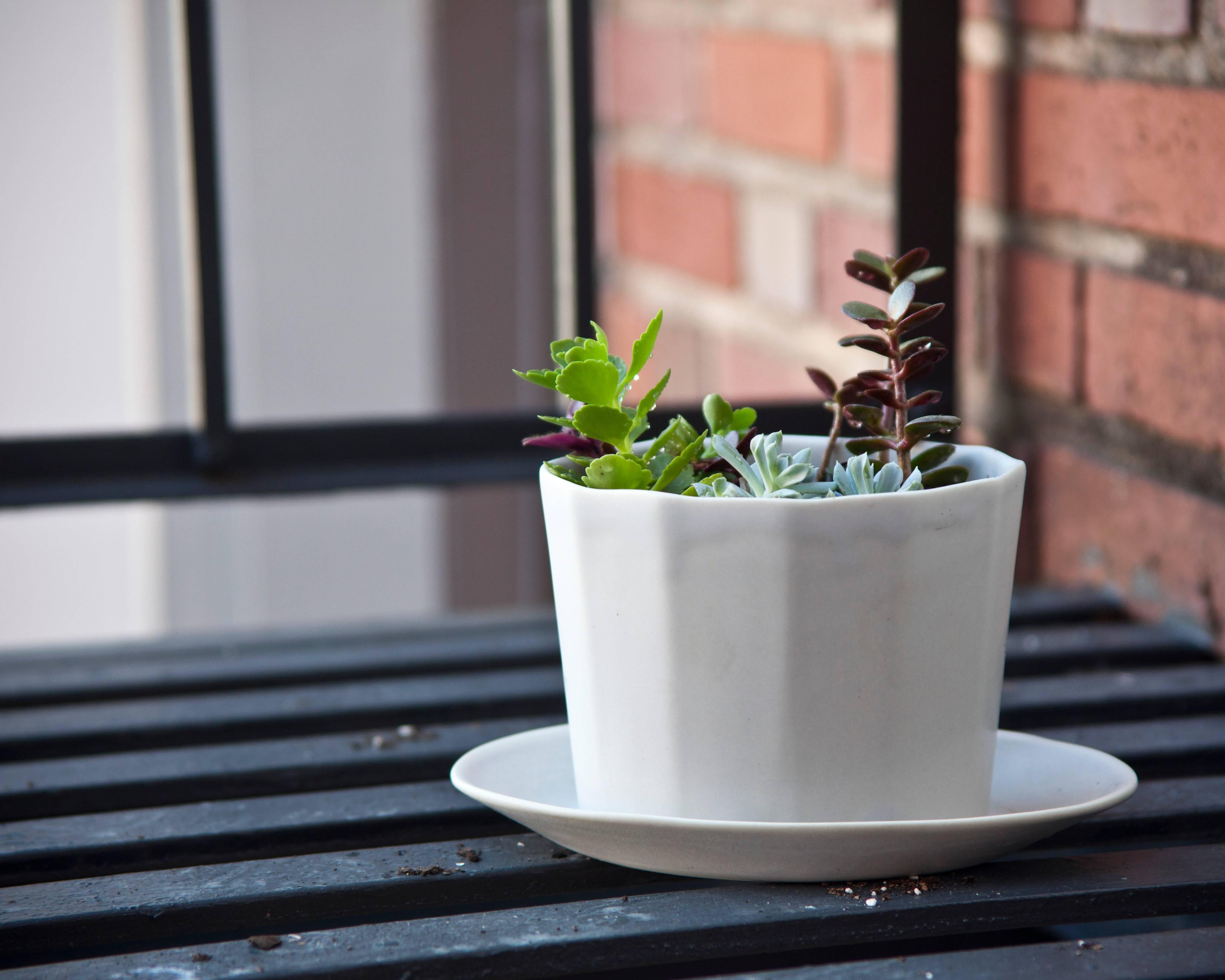 Native Planter Matte White Planter Modern Contemporary Glazed Porcelain For Sale 7