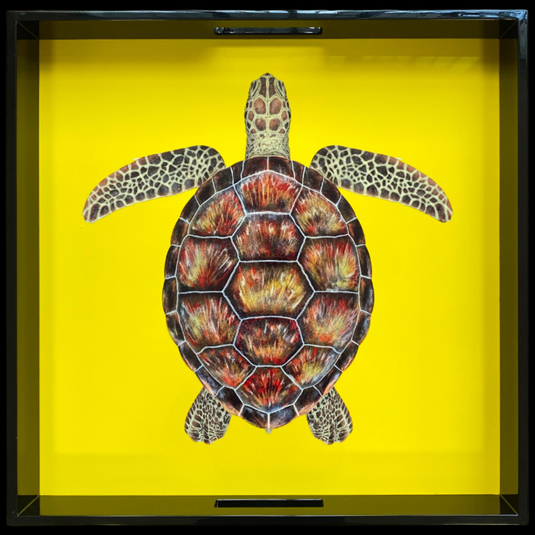 Lacquered Wooden Tray with Handles – Turtle