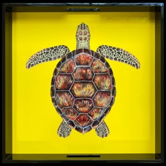 Lacquered Wooden Tray with Handles – Turtle