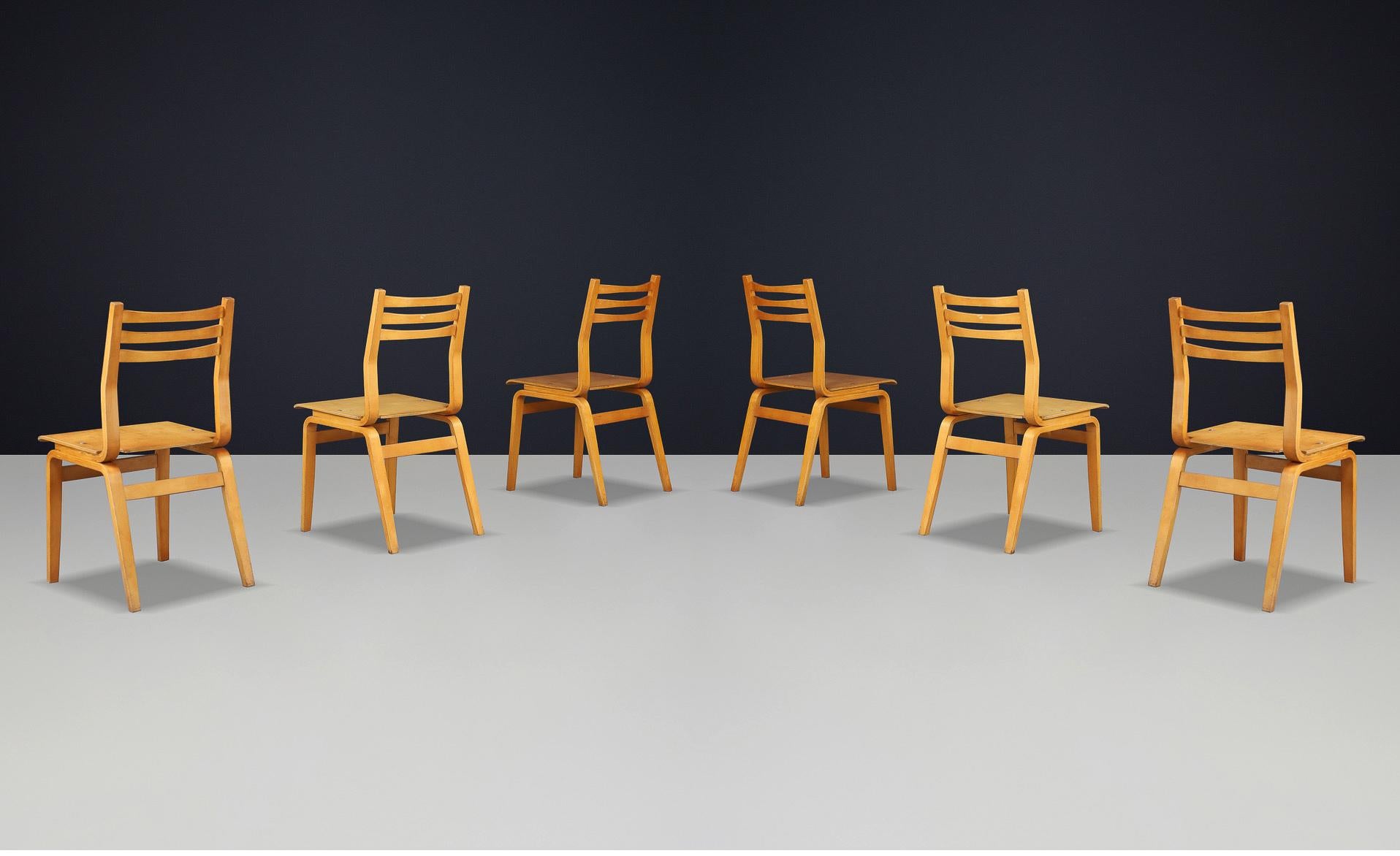 Ensemble de 16 chaises en bois de hêtre du milieu du siècle, fabriquées en République tchèque, années 1960 en vente 1