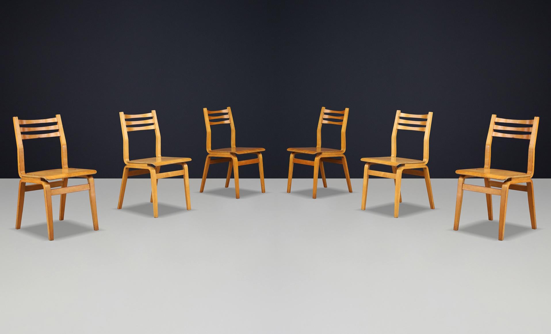 Bois cintré Ensemble de 16 chaises en bois de hêtre du milieu du siècle, fabriquées en République tchèque, années 1960 en vente
