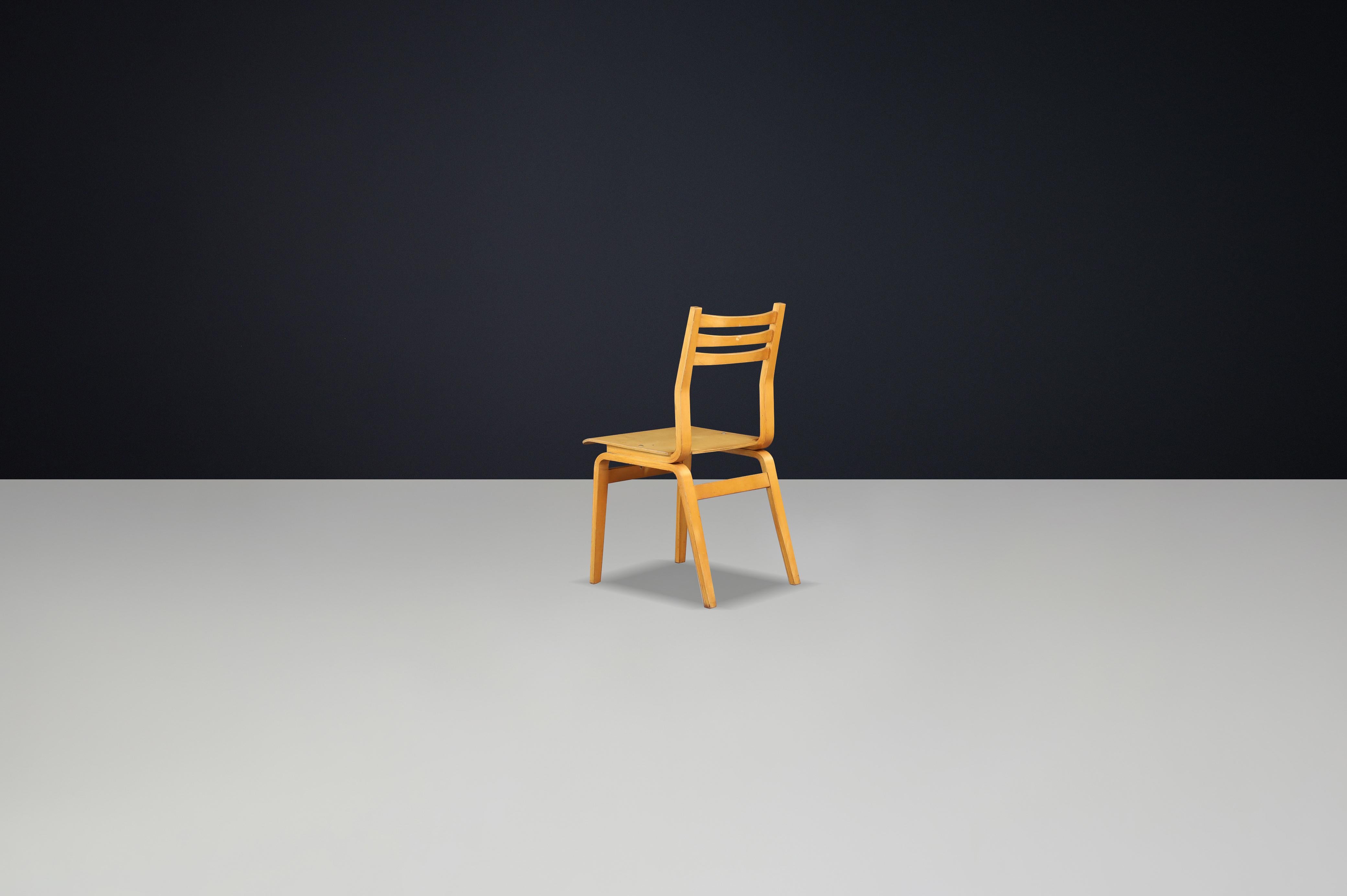 Ensemble de 16 chaises en bois de hêtre du milieu du siècle, fabriquées en République tchèque, années 1960 en vente 3