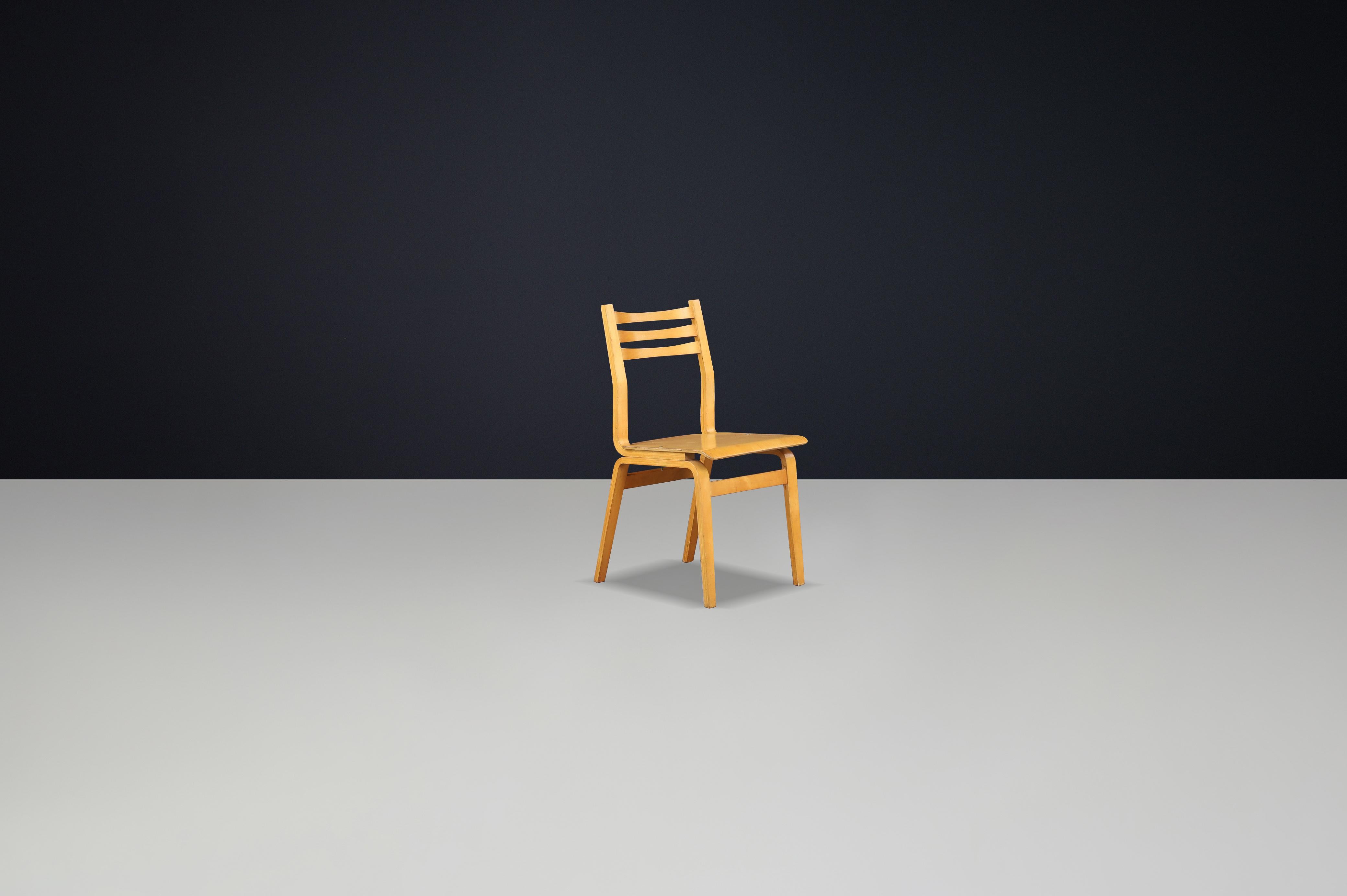 Ensemble de 16 chaises en bois de hêtre du milieu du siècle, fabriquées en République tchèque, années 1960 en vente 2