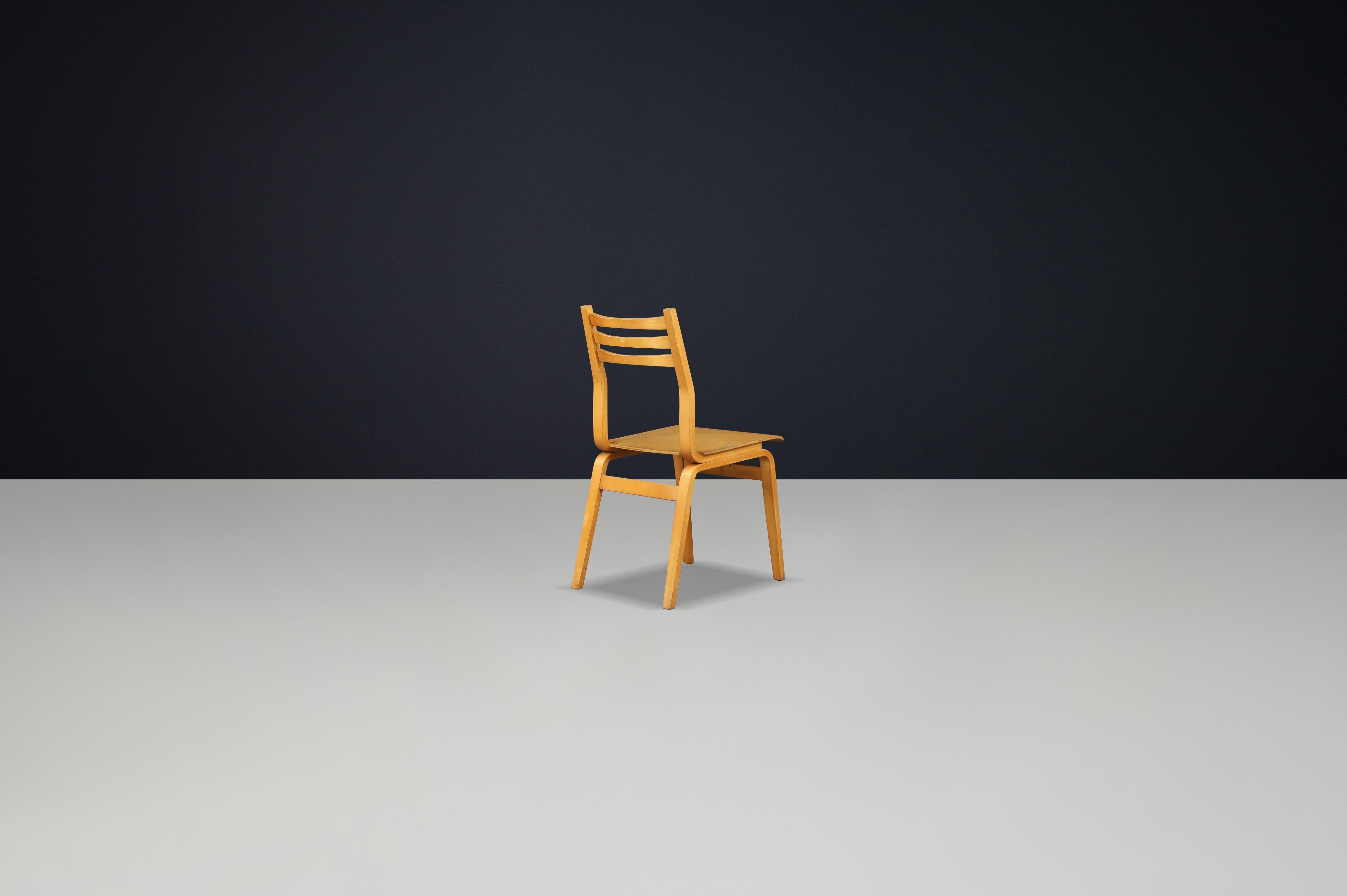 Ensemble de 16 chaises en bois de hêtre du milieu du siècle, fabriquées en République tchèque, années 1960 en vente 4