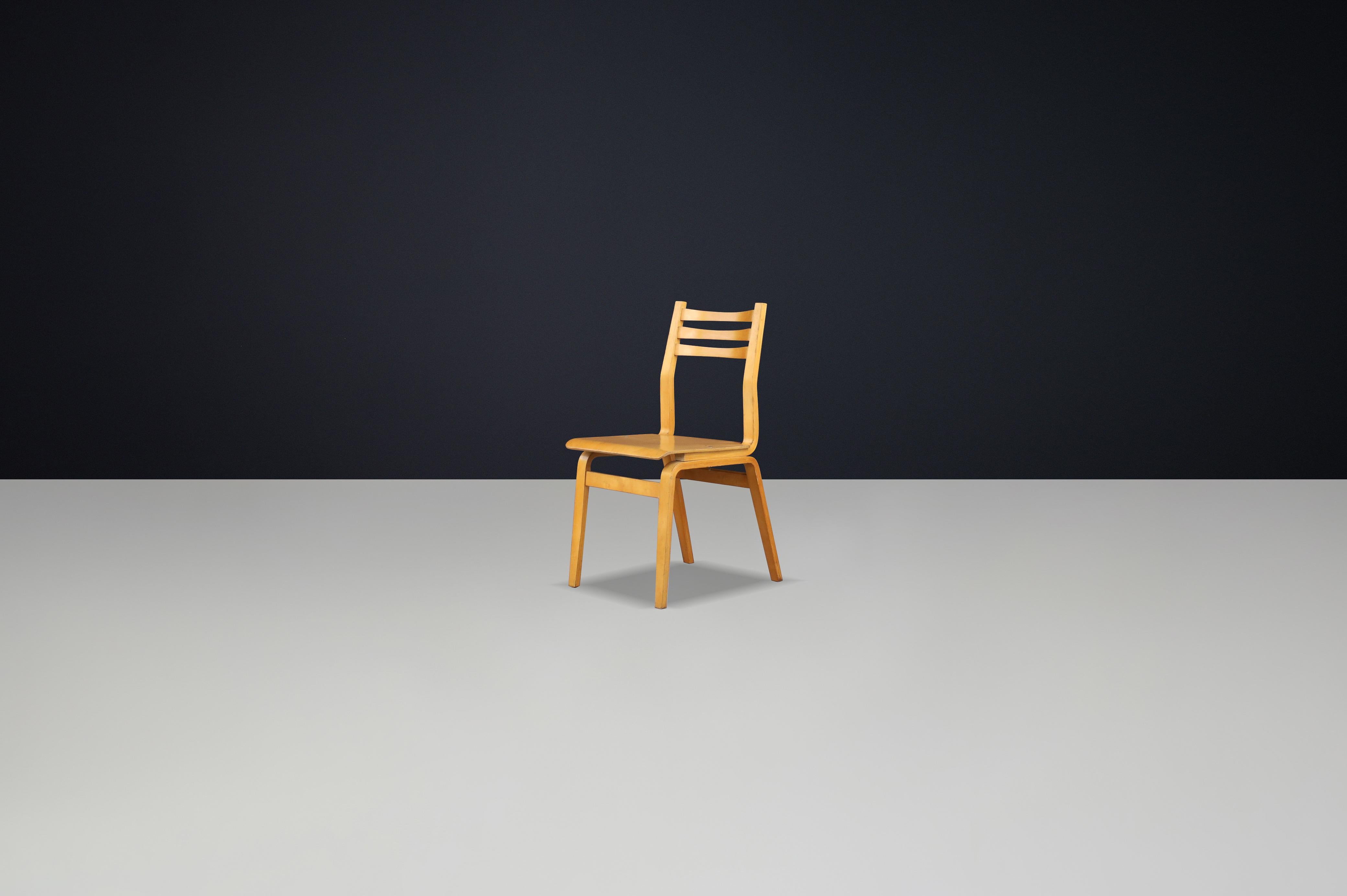 Tchèque Ensemble de 16 chaises en bois de hêtre du milieu du siècle, fabriquées en République tchèque, années 1960 en vente